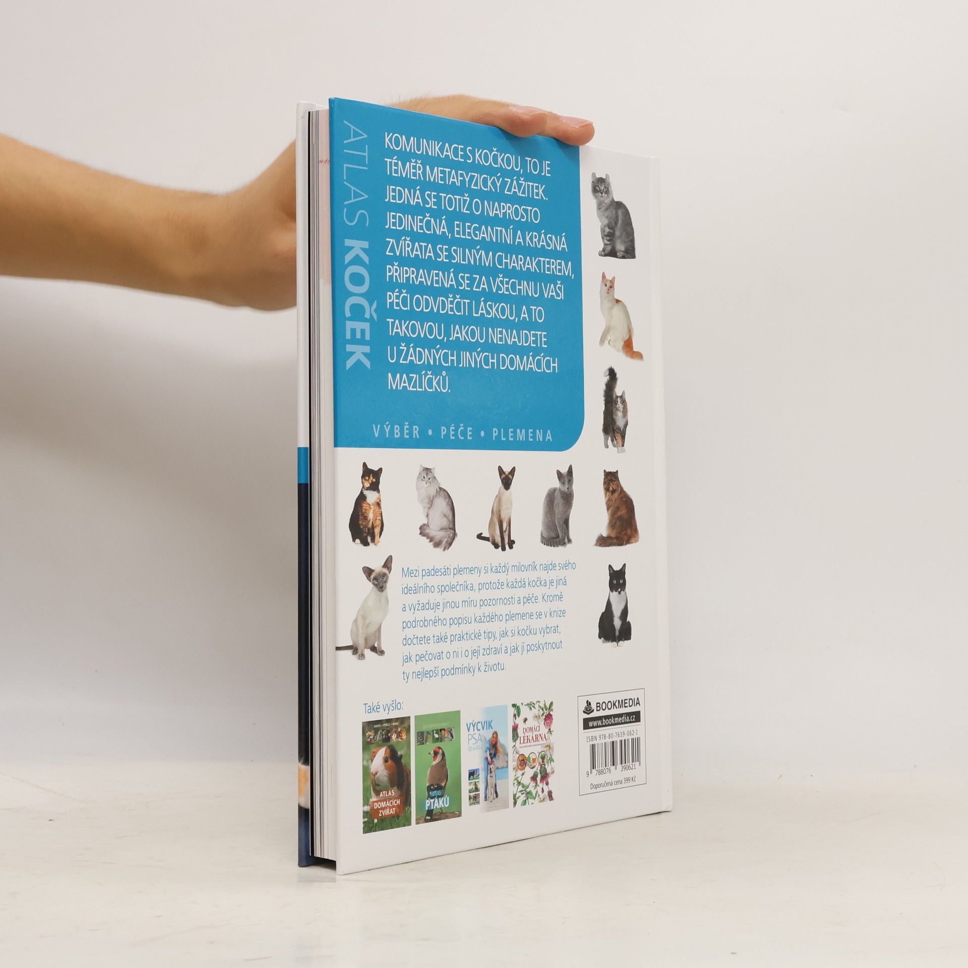 Autorenkollektiv Atlas koček : výběr, péče, plemena
