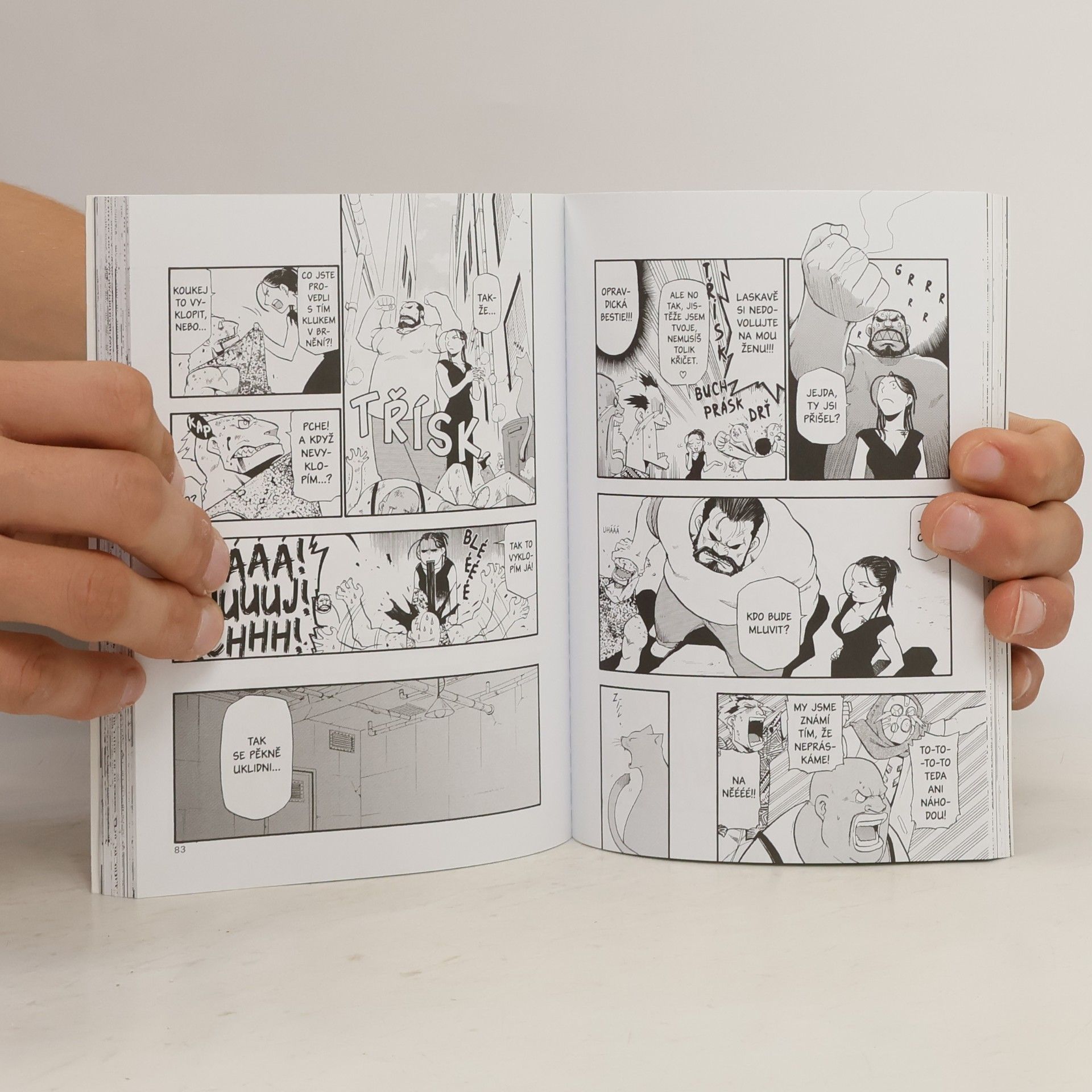 Hiromu Arakawa Ocelový alchymista 7