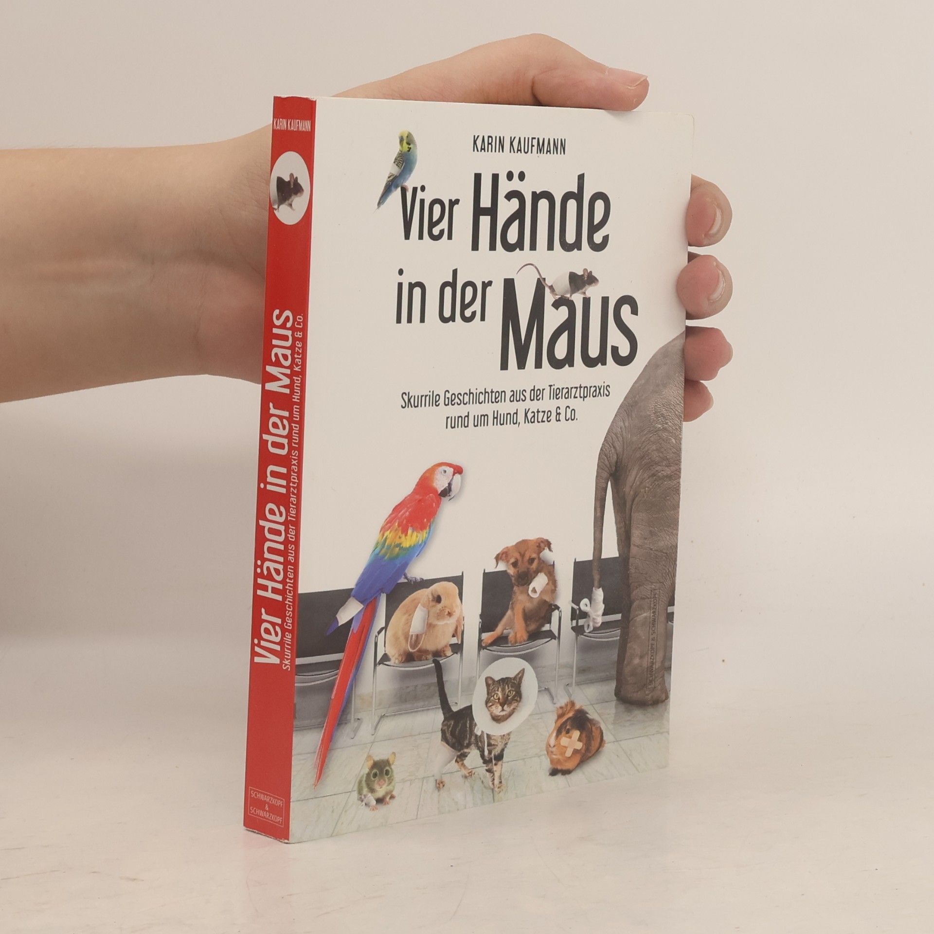 Karin Kaufmann Vier Hände in der Maus