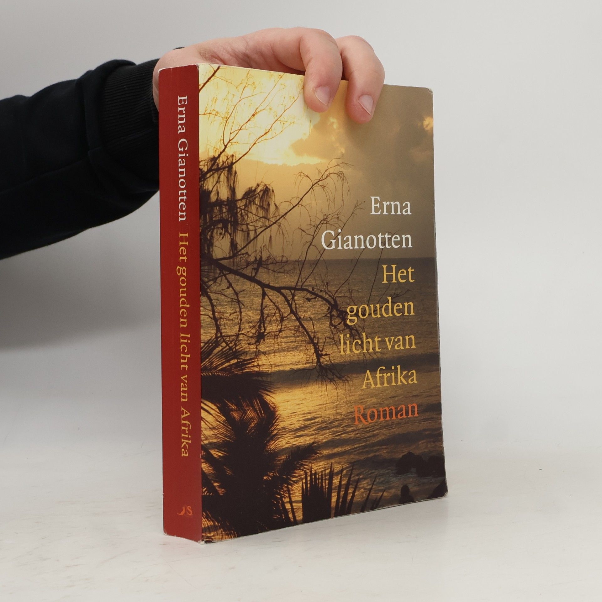 Het gouden licht van Afrika