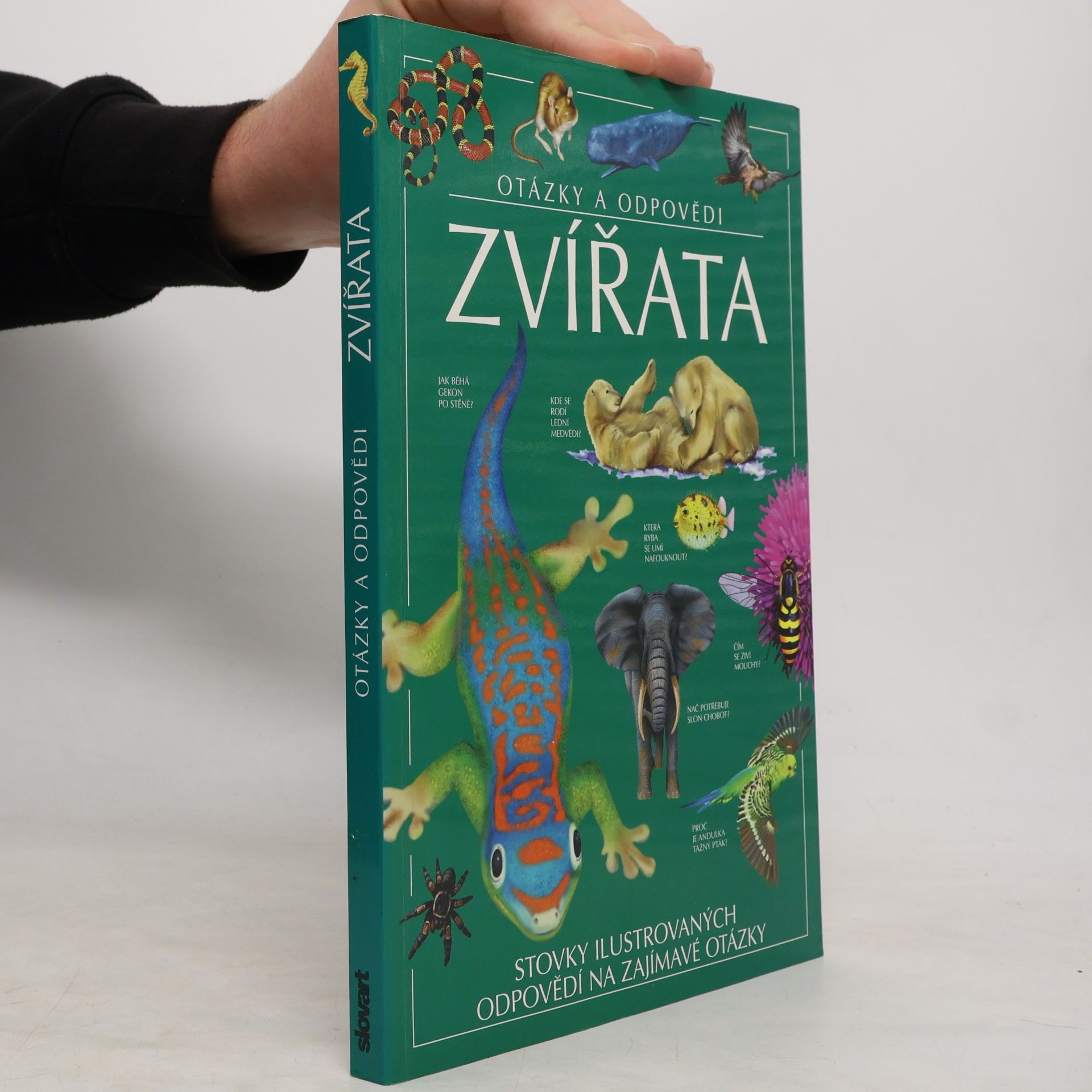 Jen Green Zvířata. Otázky a odpovědi