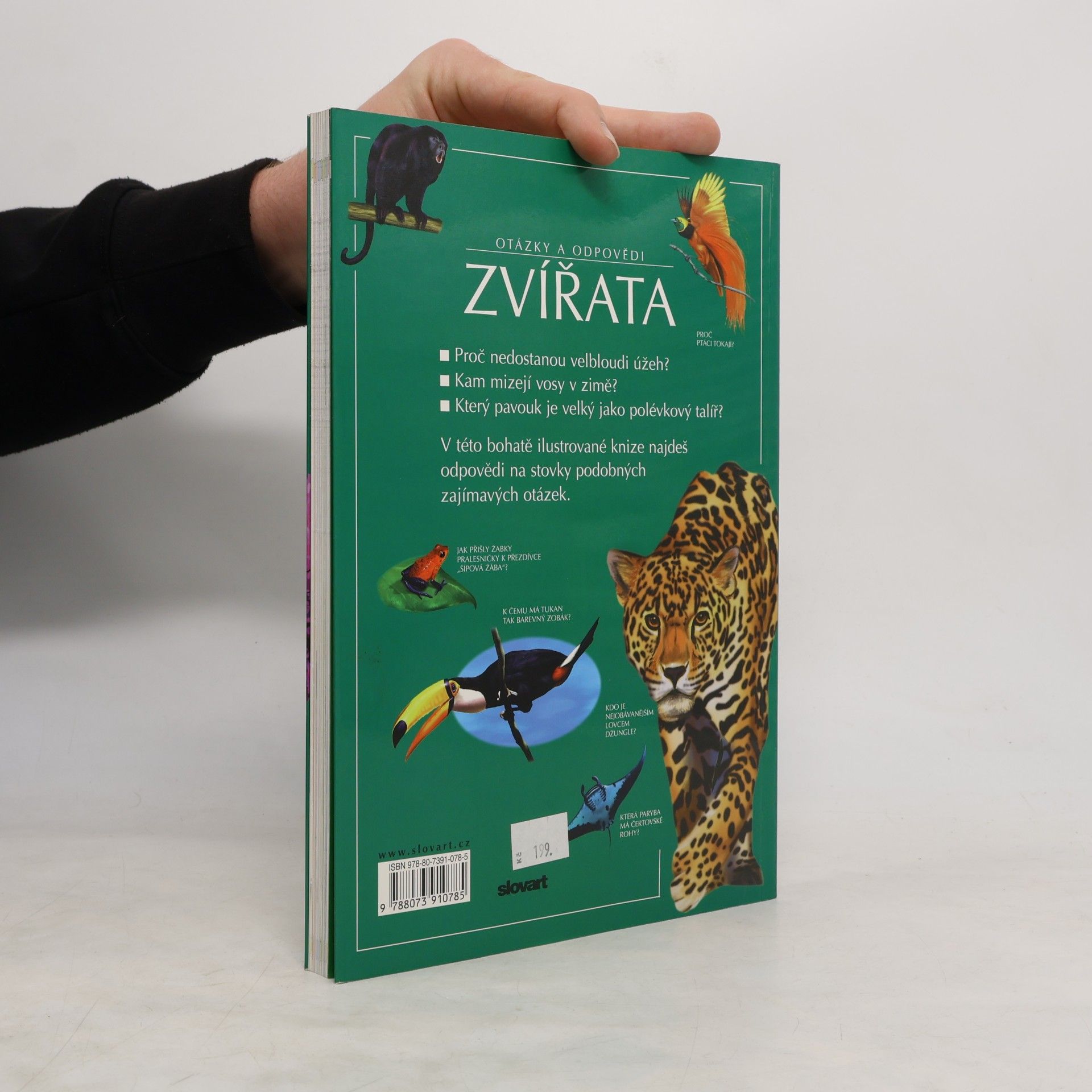 Jen Green Zvířata. Otázky a odpovědi