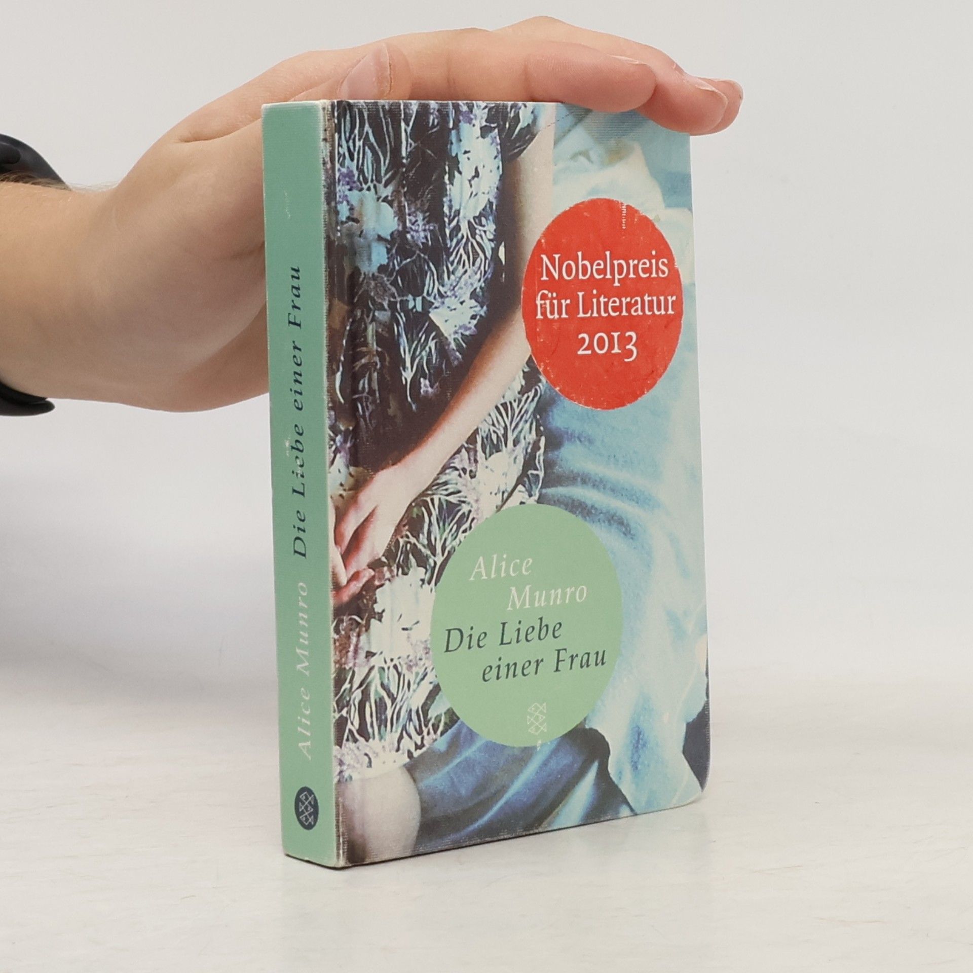 Alice Munro Die Liebe einer Frau