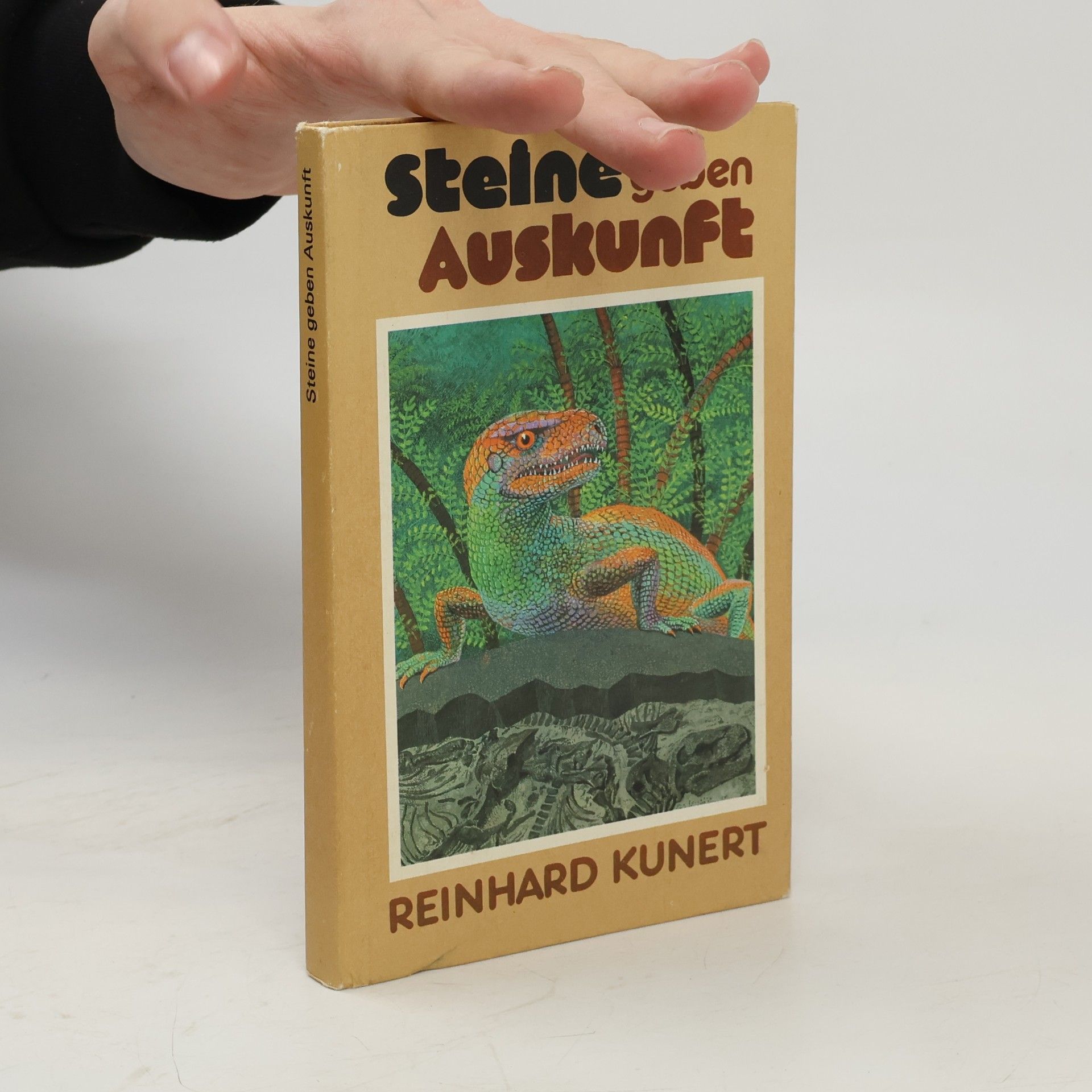 Reinhard Kunert Steine Geben Auskunft,