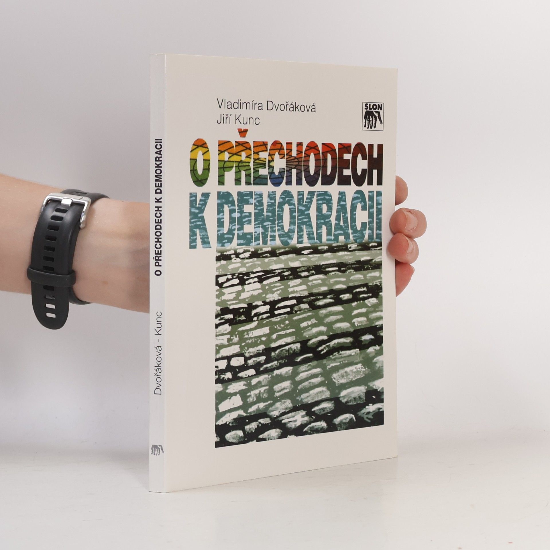 O přechodech k demokracii