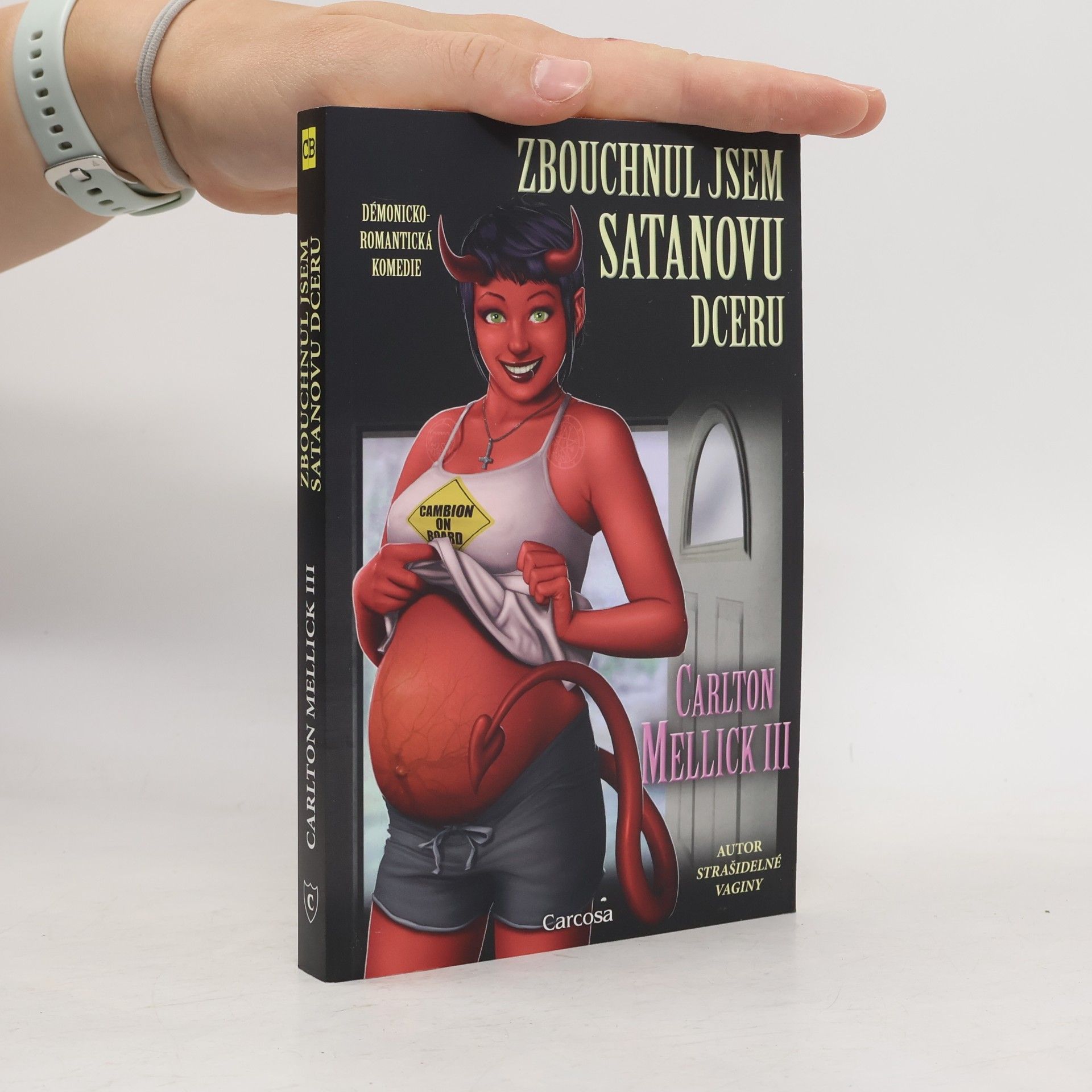 Zbouchnul jsem Satanovu dceru: Démonicko-romantická komedie