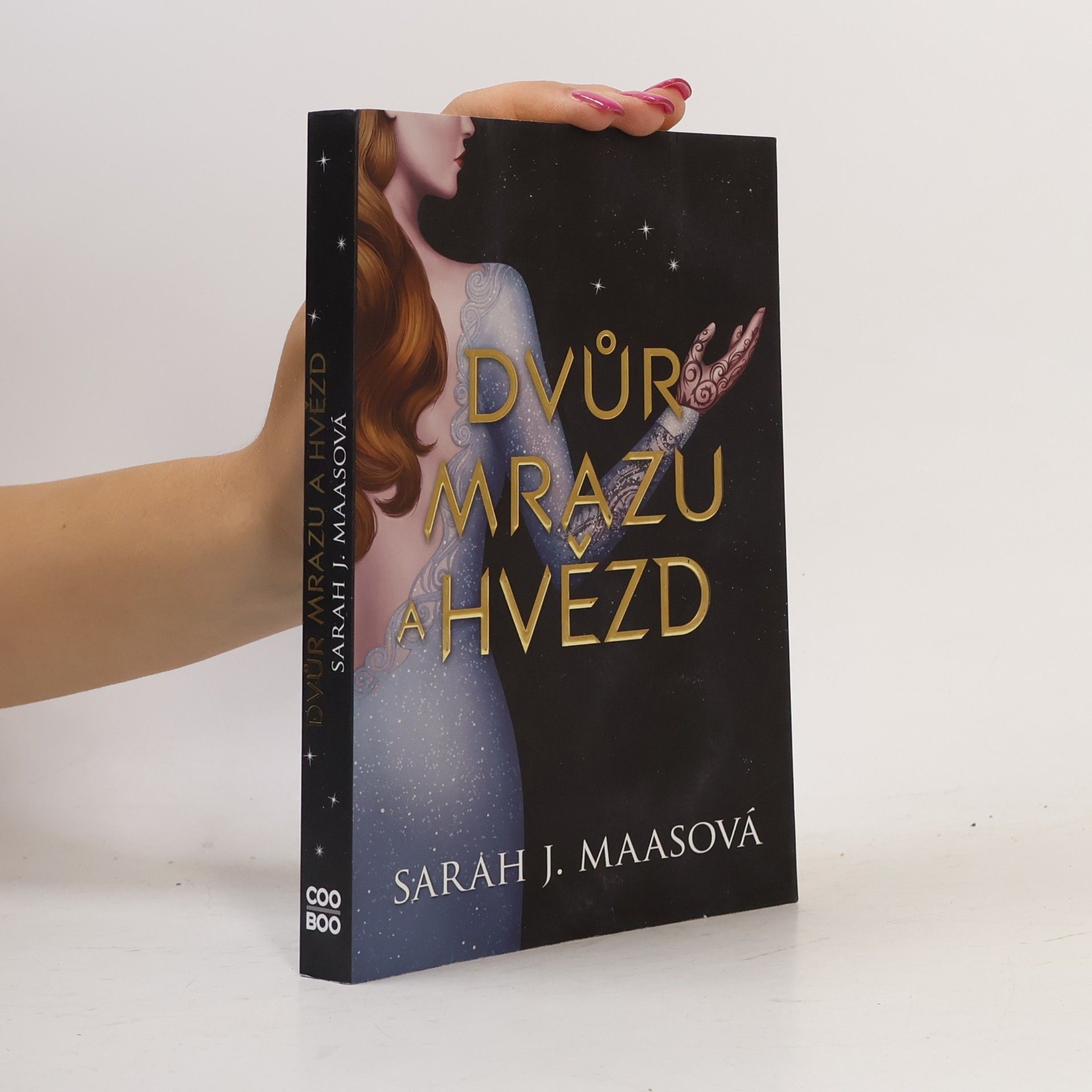Sarah J. Maas Dvůr mrazu a hvězd