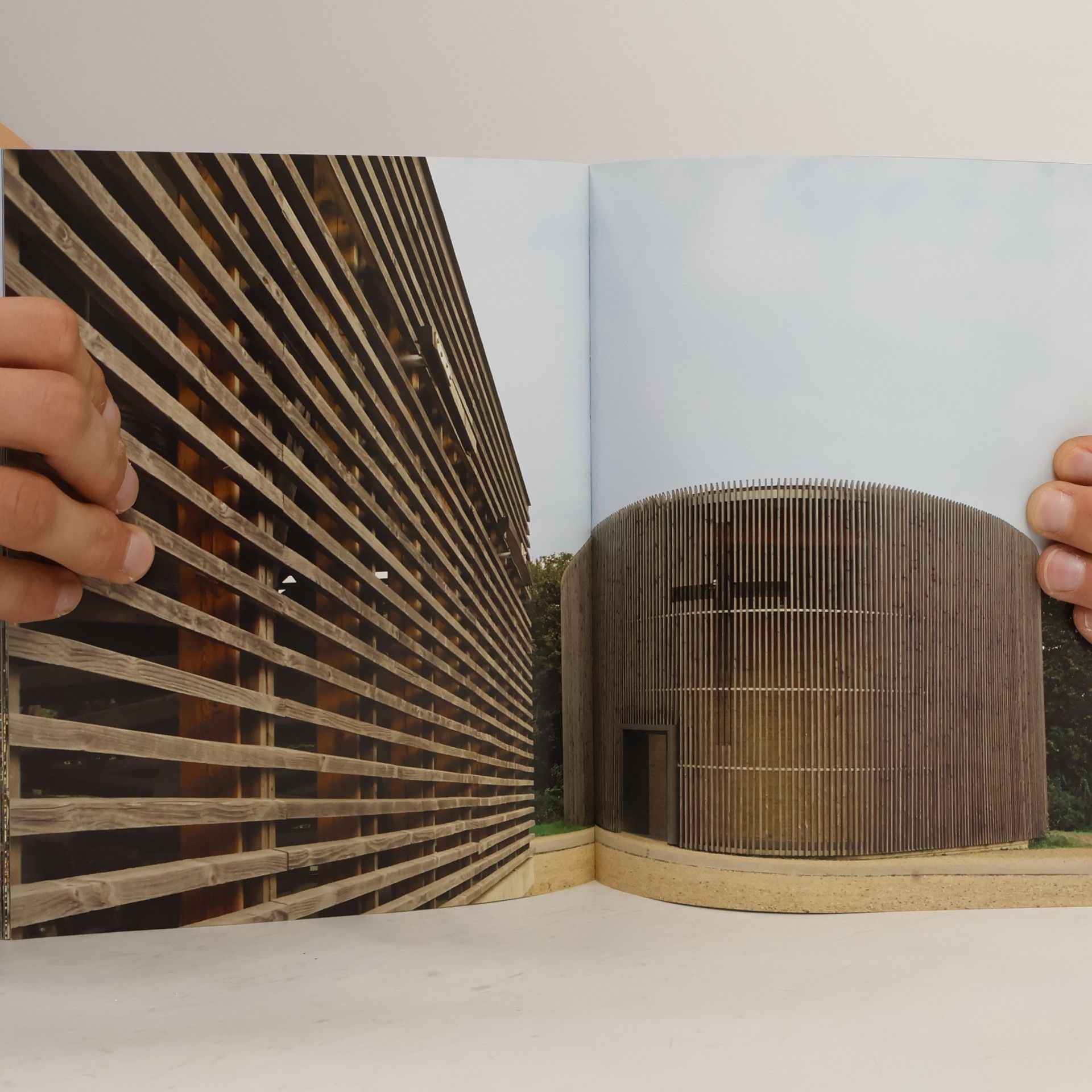 Barbara Linz Wood = Holz = Bois