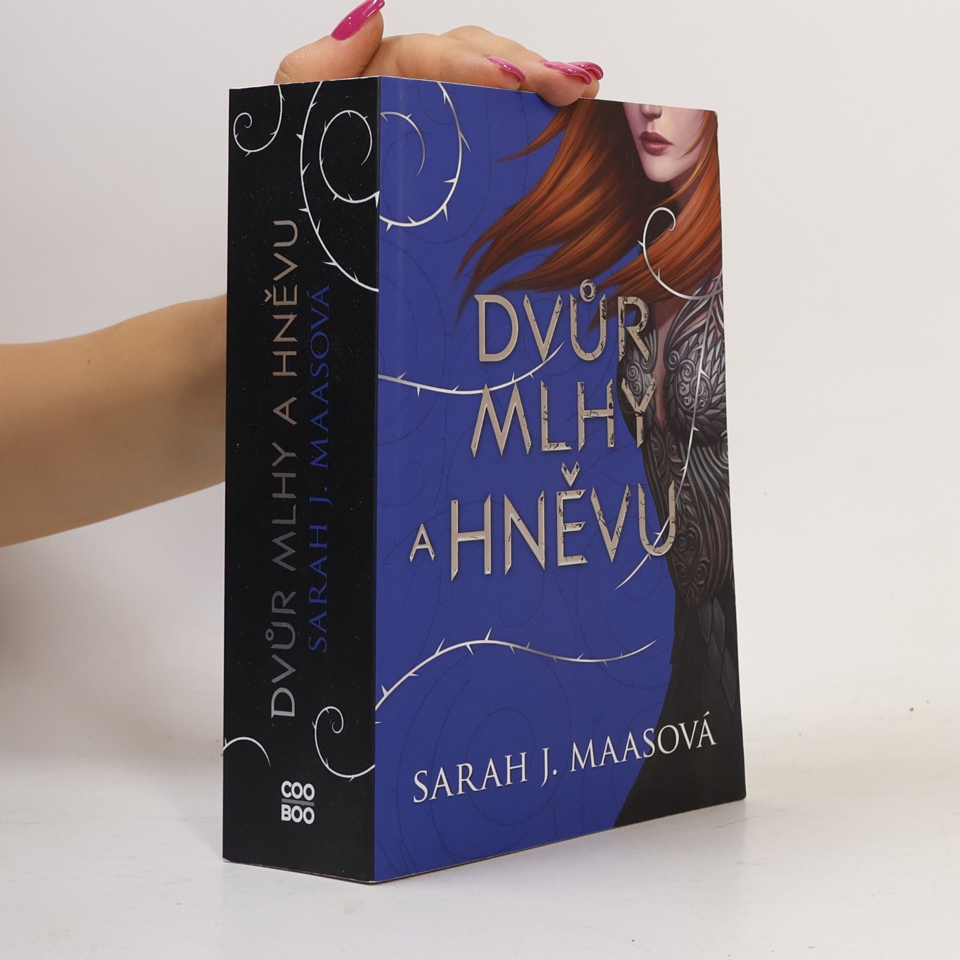 Sarah J. Maas Dvůr mlhy a hněvu