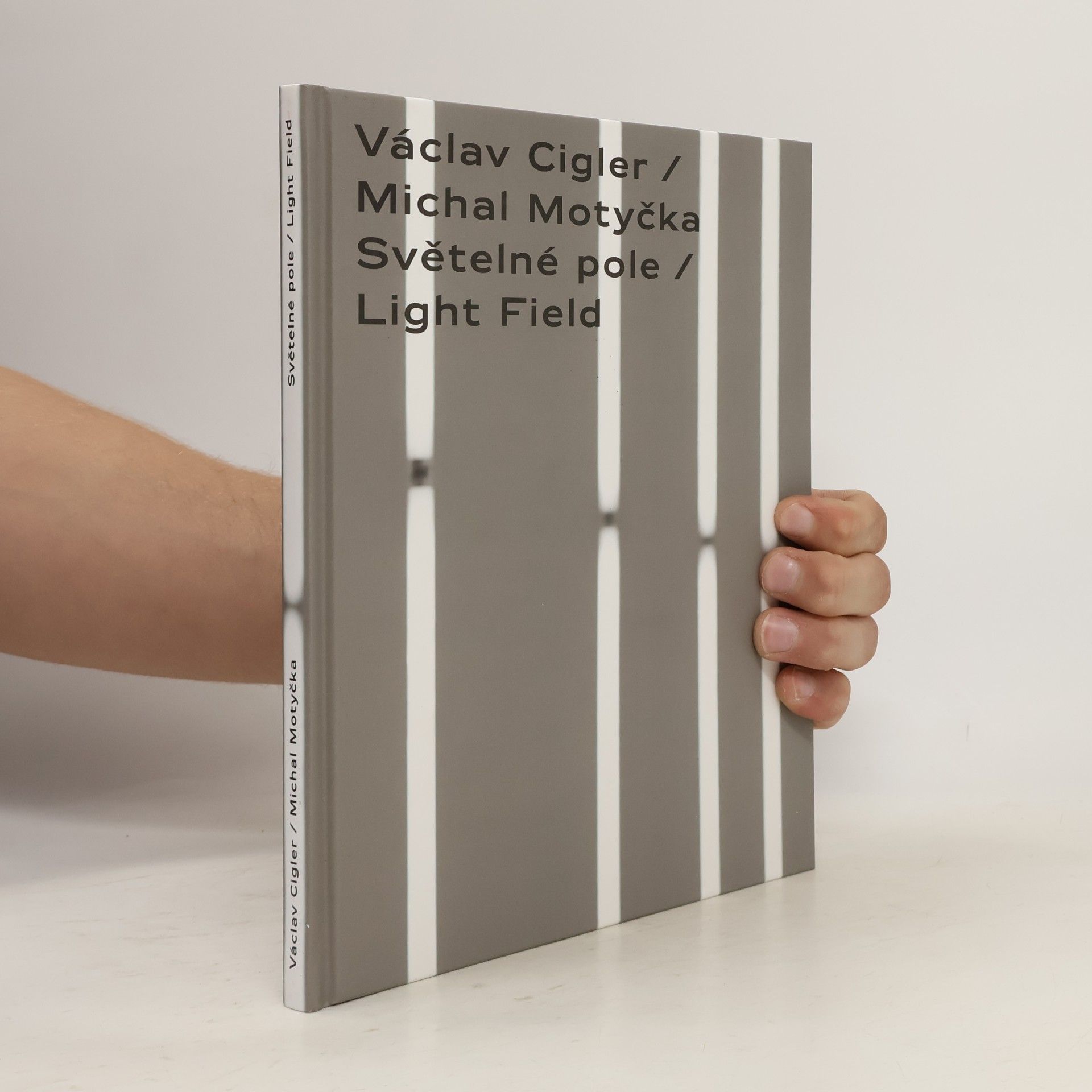 Jana Šindelová Cigler – Motyčka: Světelné pole / Light Field