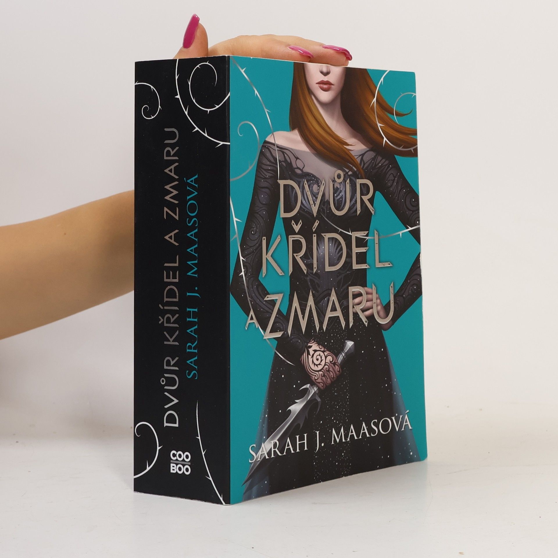Sarah J. Maas Dvůr křídel a zmaru