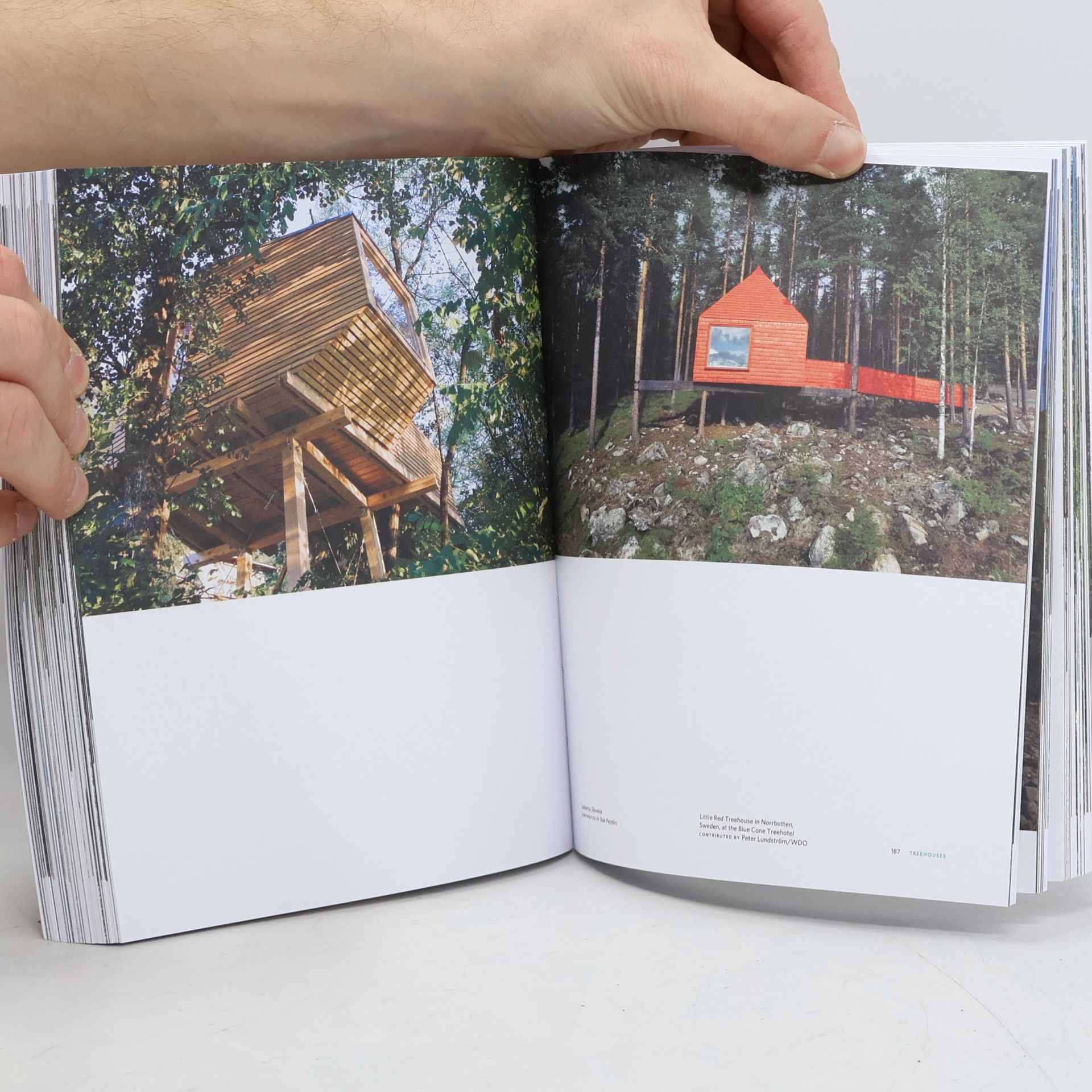 Zach Klein Cabin Porn