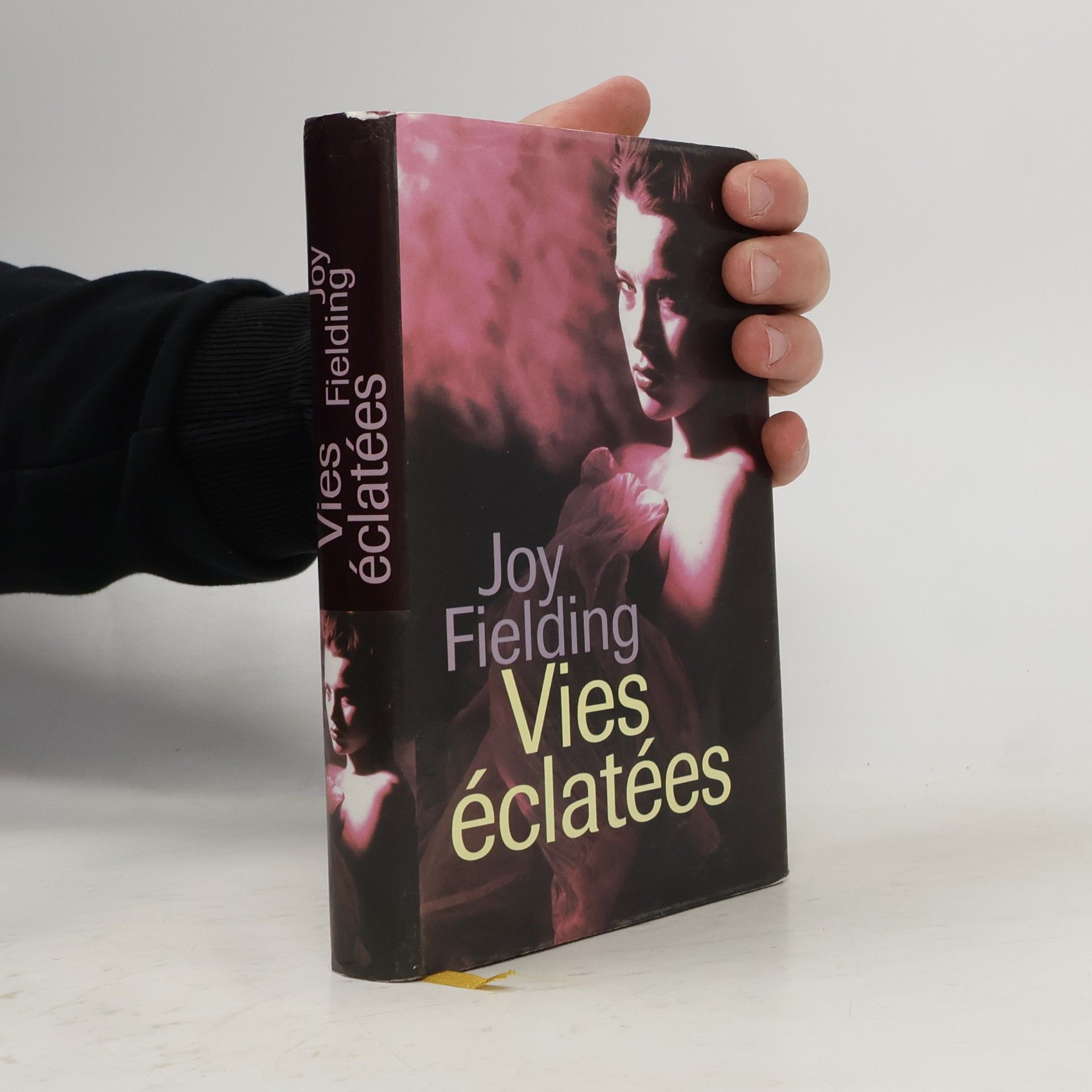 Joy Fielding Vies éclatées