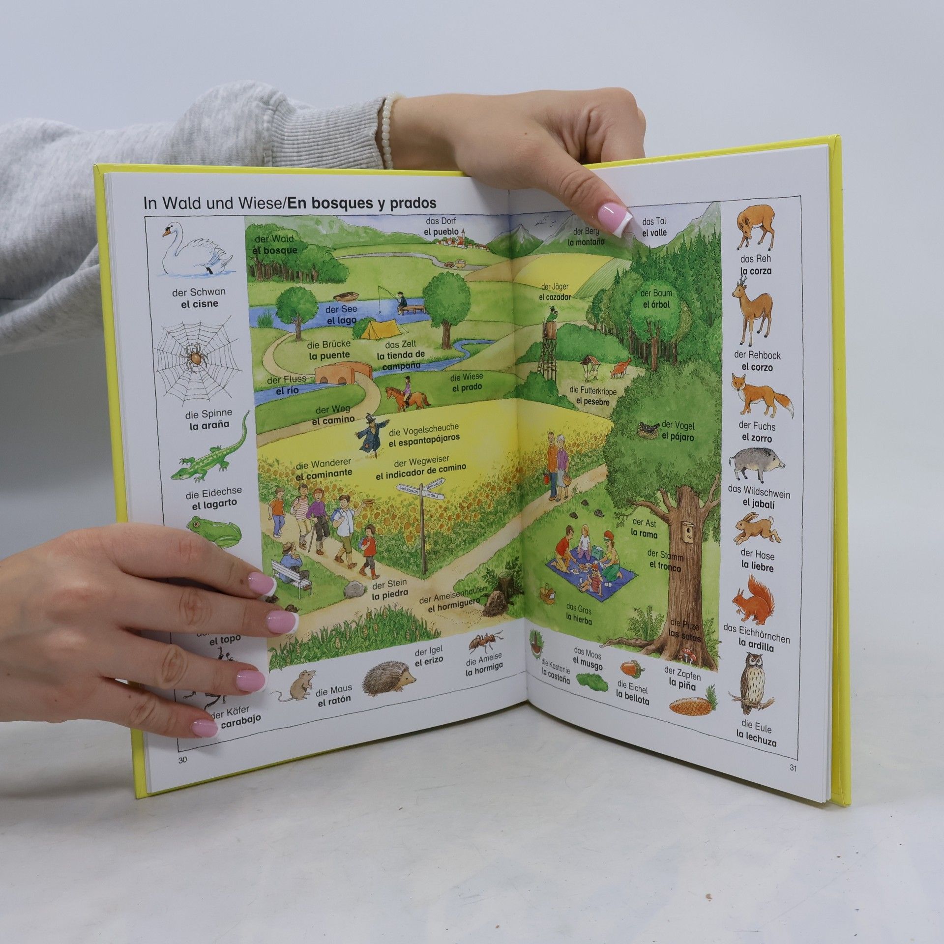 Angela Weinhold Mein erstes Spanisch Bildwörterbuch