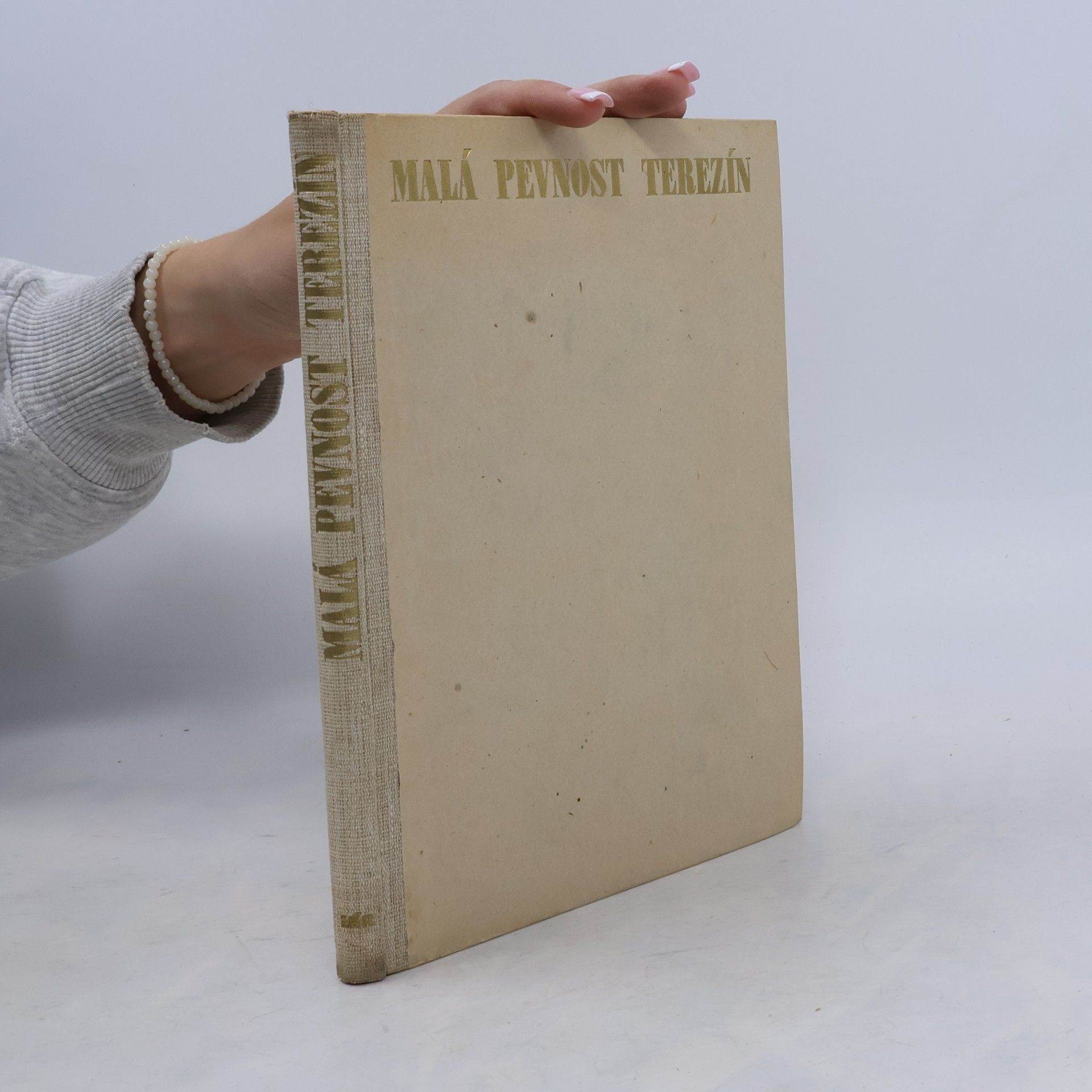 Pavel Kypr Malá pevnost Terezín