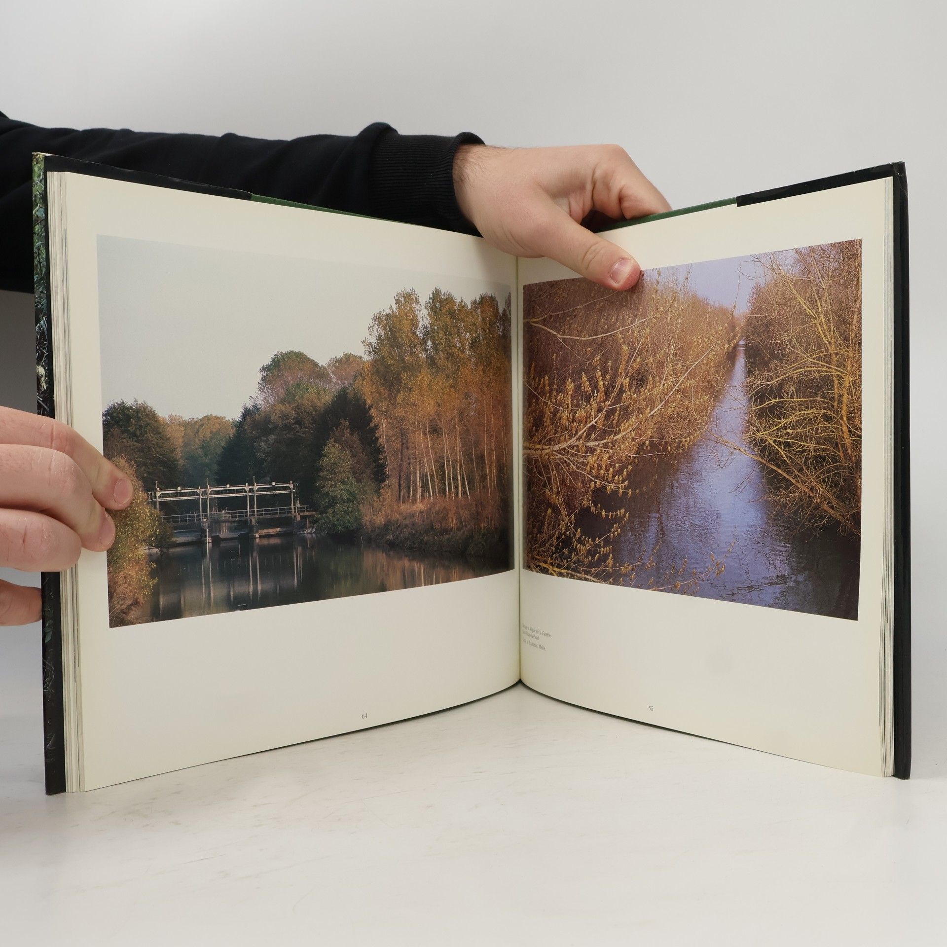 Thierry Guinhut Le Marais Poitevin