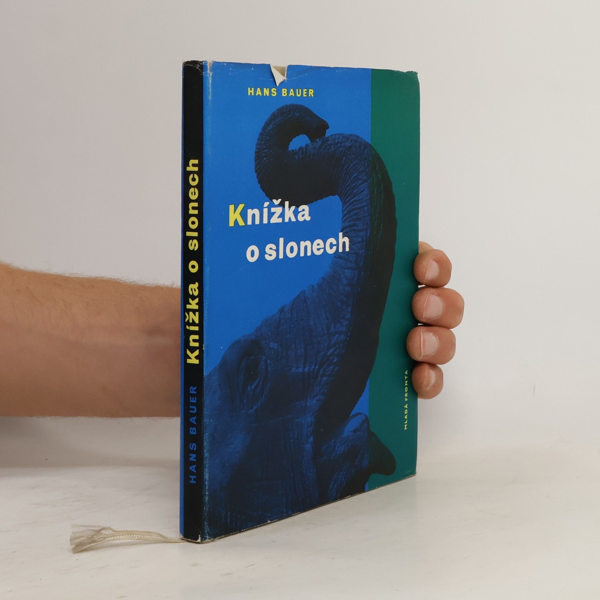 Knížka o slonech