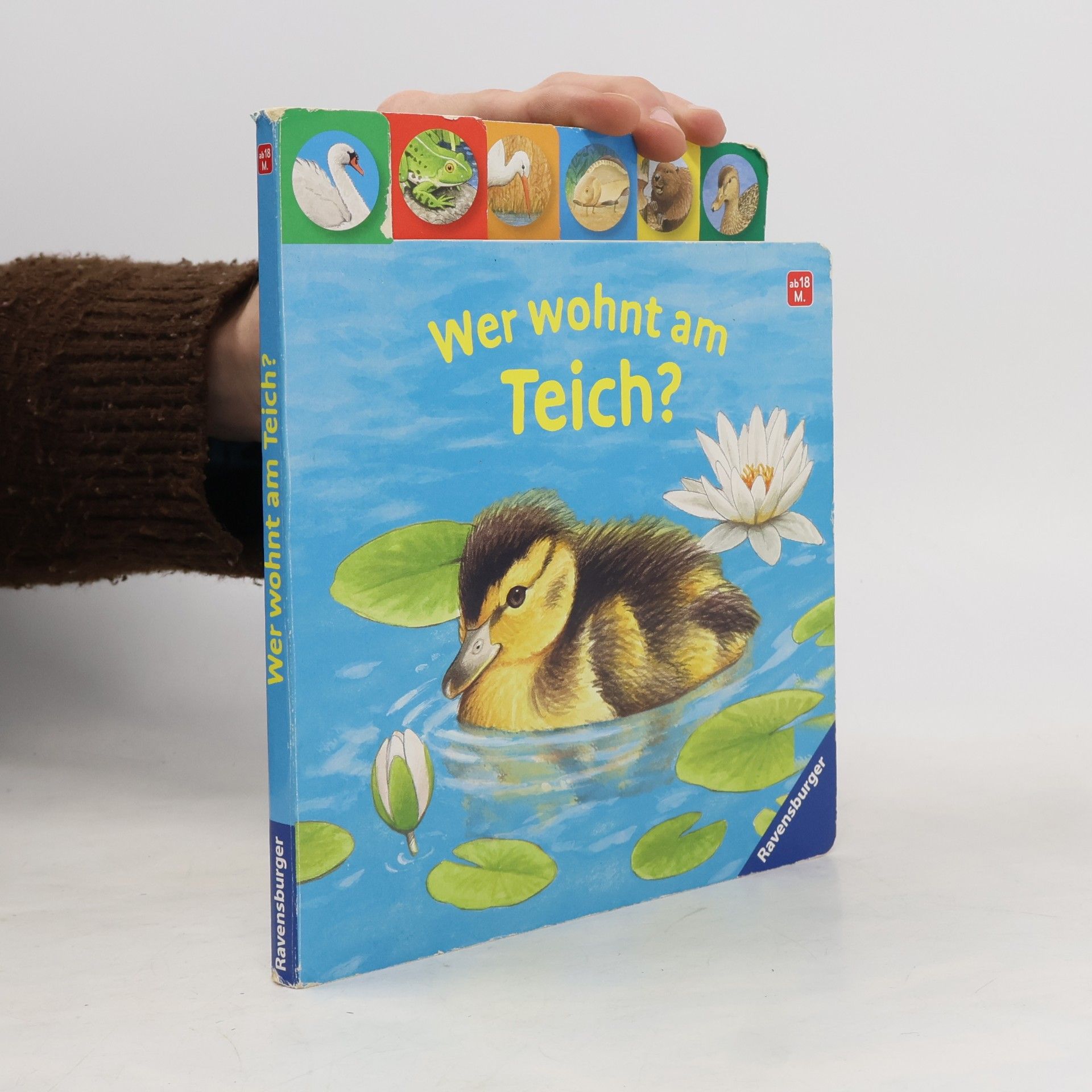 wer wohnt am teich?