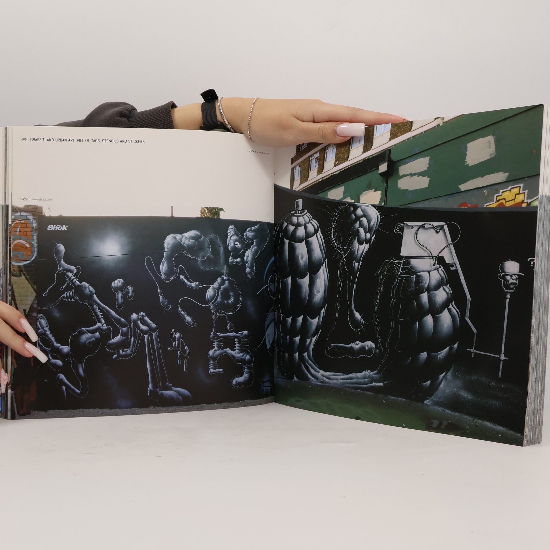 Cristian Campos Grafitti und Urbane Kunst