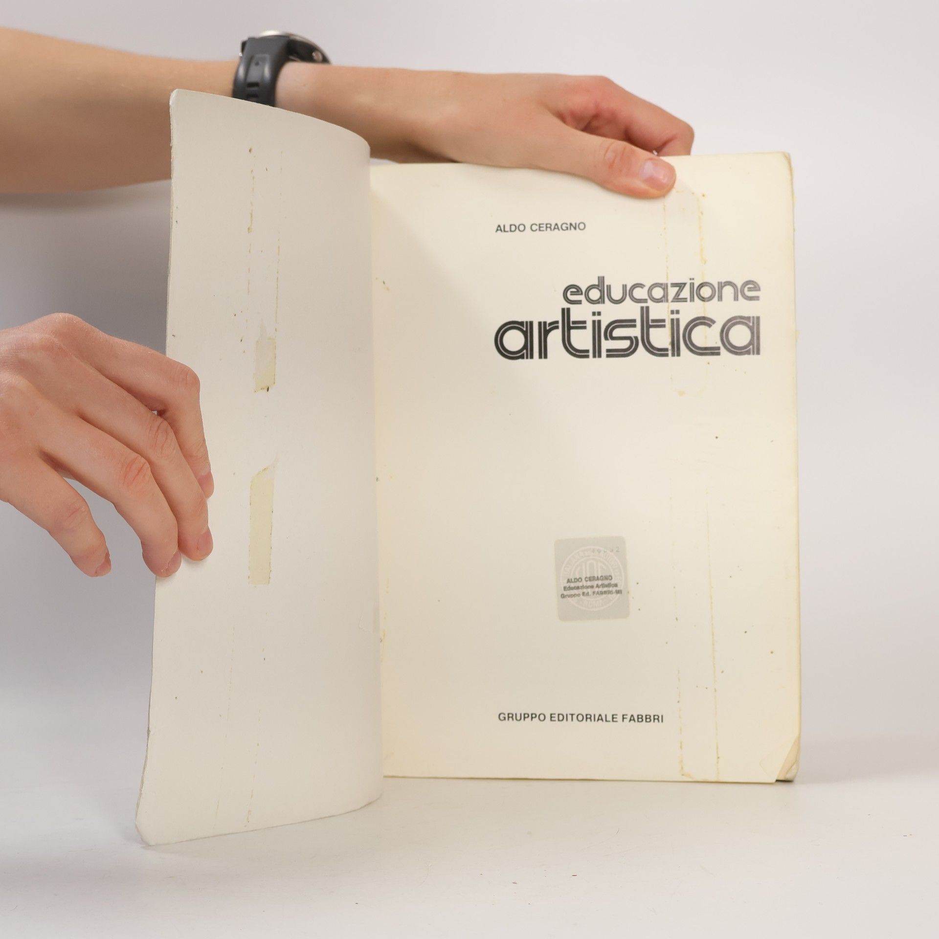 Aldo Ceragno Educazione artistica