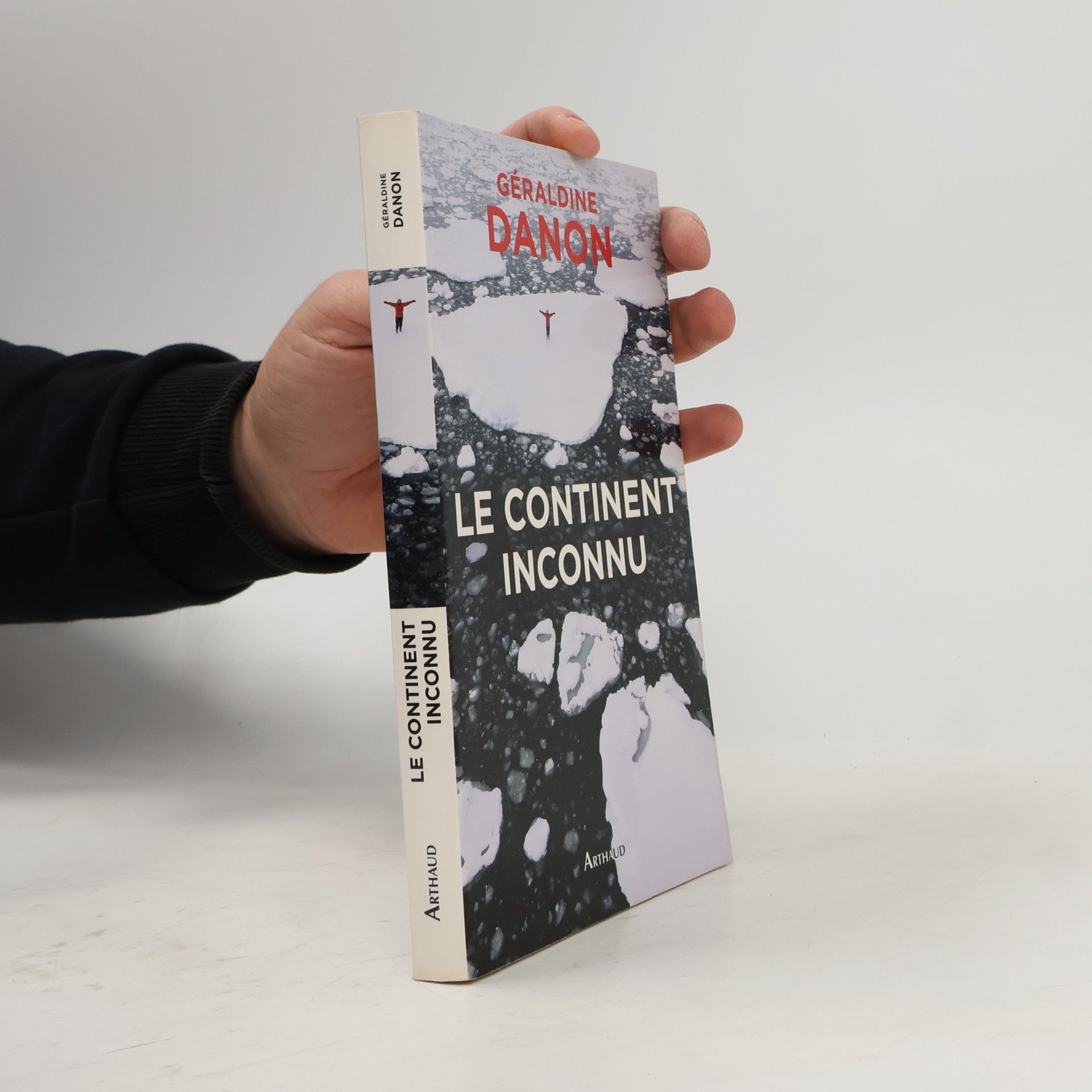 Géraldine Danon Le continent inconnu