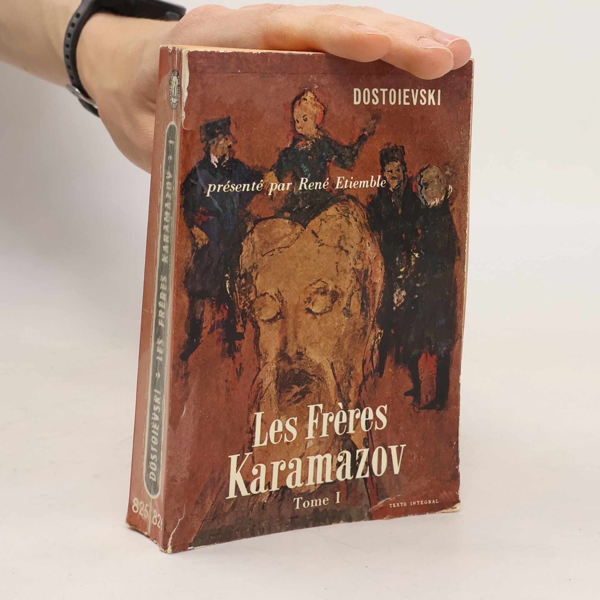 Fjodor Michajlovič Dostojevskij Les Frères Karamazov I