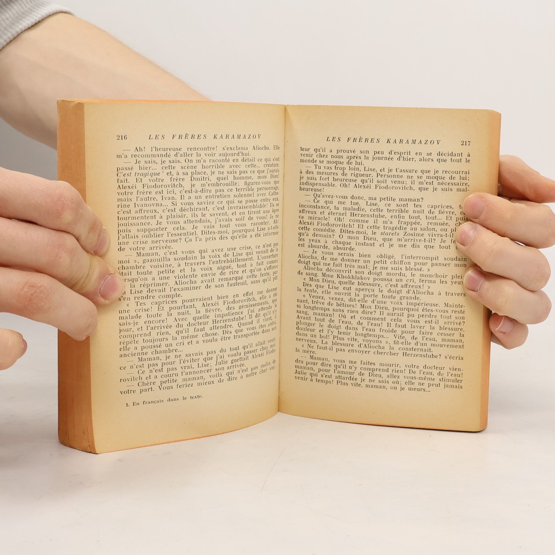 Fjodor Michailowitsch Dostojewski Les Frères Karamazov I