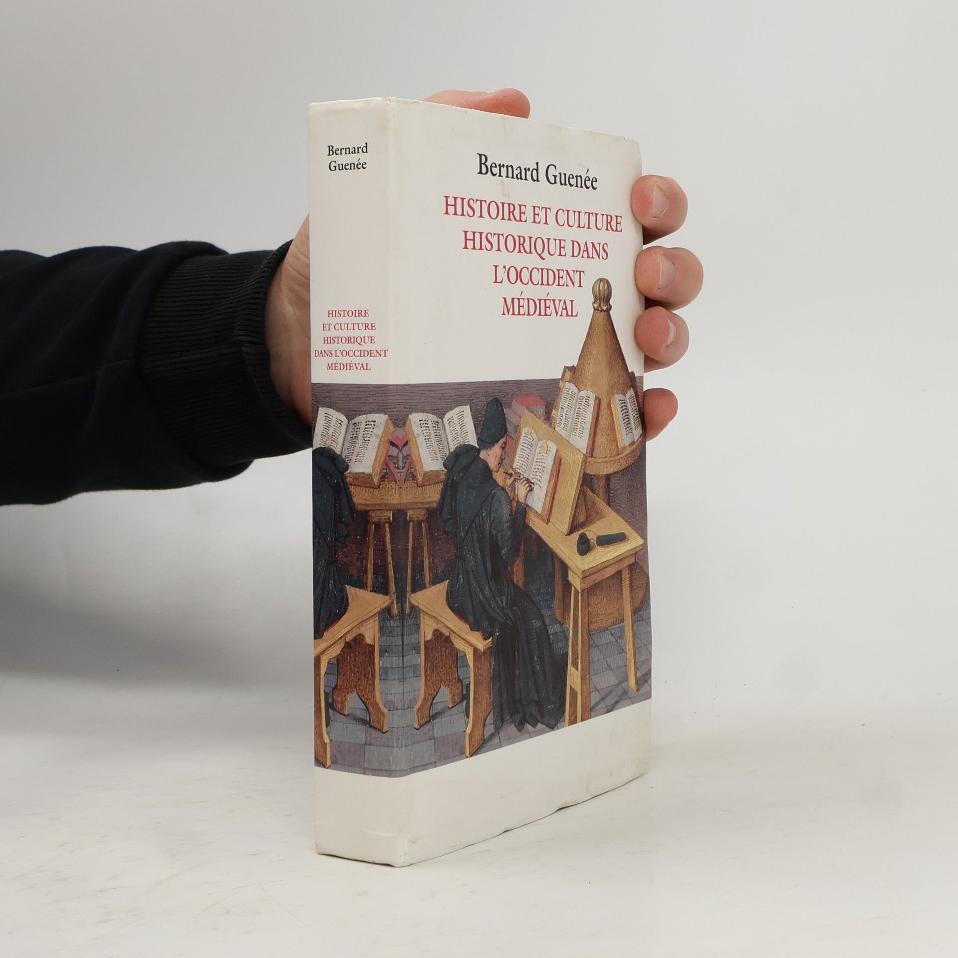 Histoire et culture historique dans l'Occident médiéval