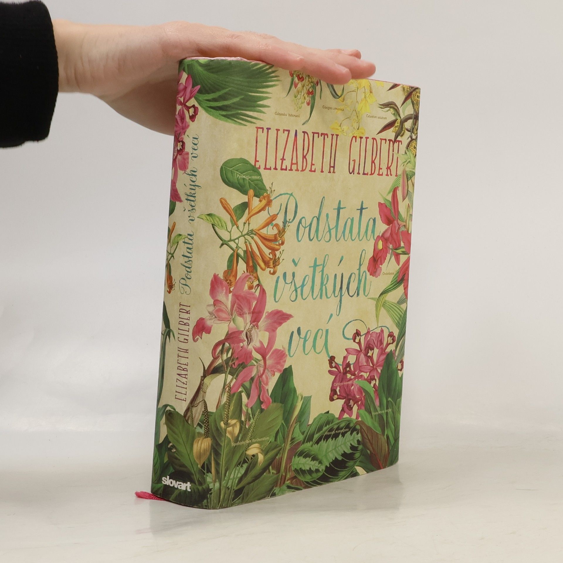Elizabeth Gilbert Podstata všetkých vecí