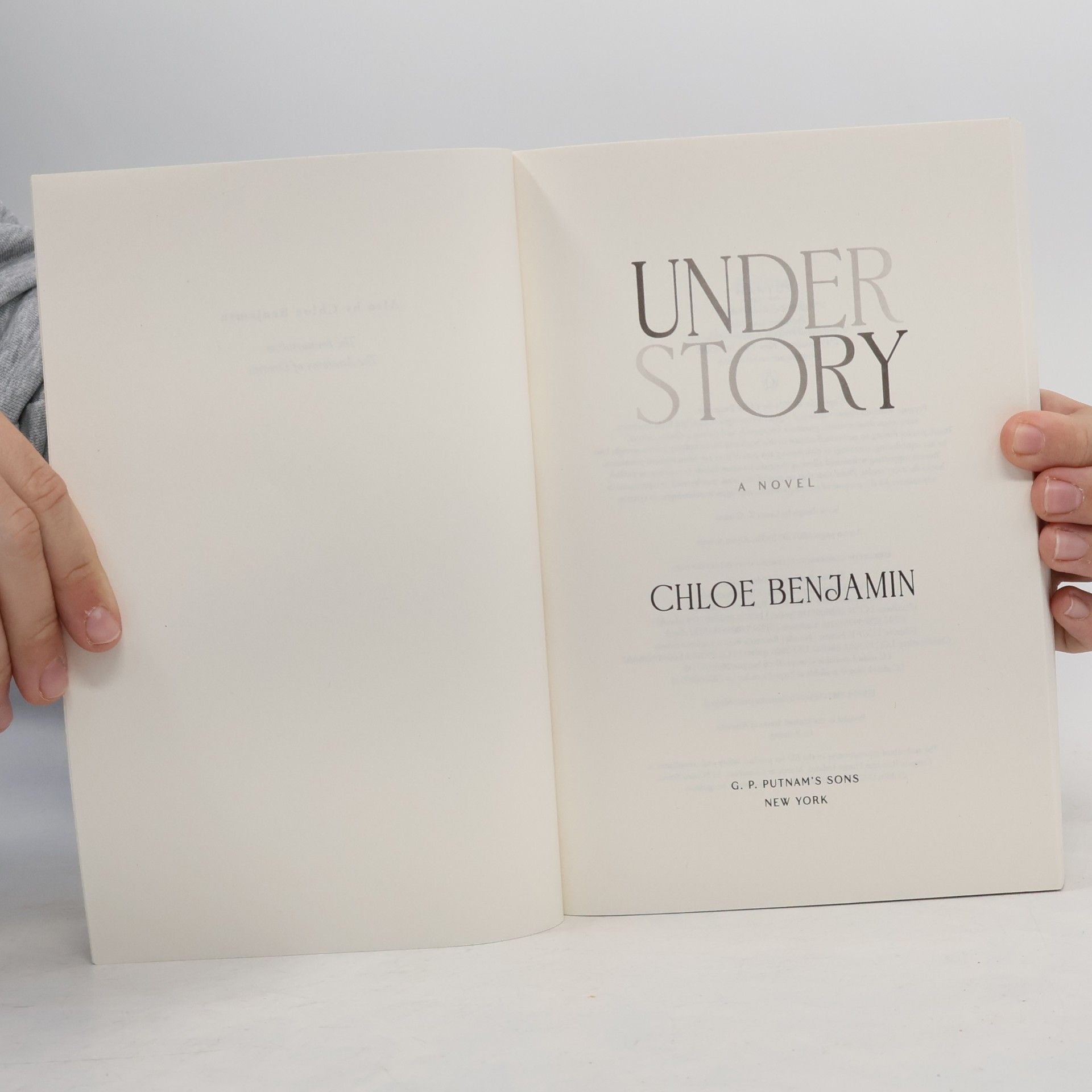 Chloe Benjamin Under Story