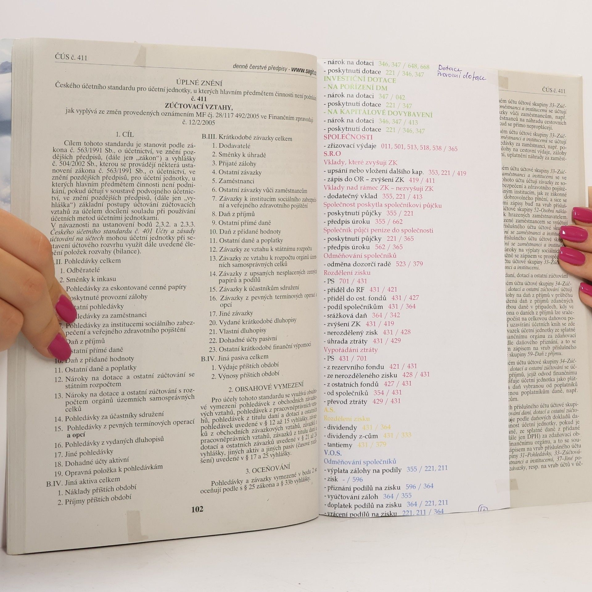 Collectif d'auteurs České účetní standardy