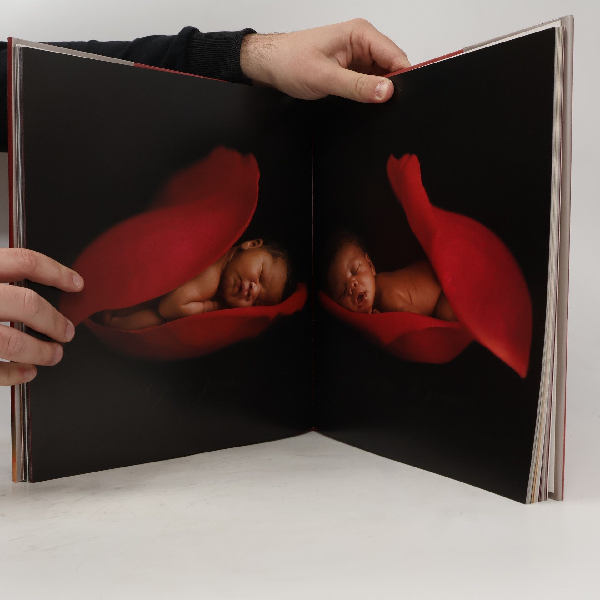 Anne Geddes Miracle