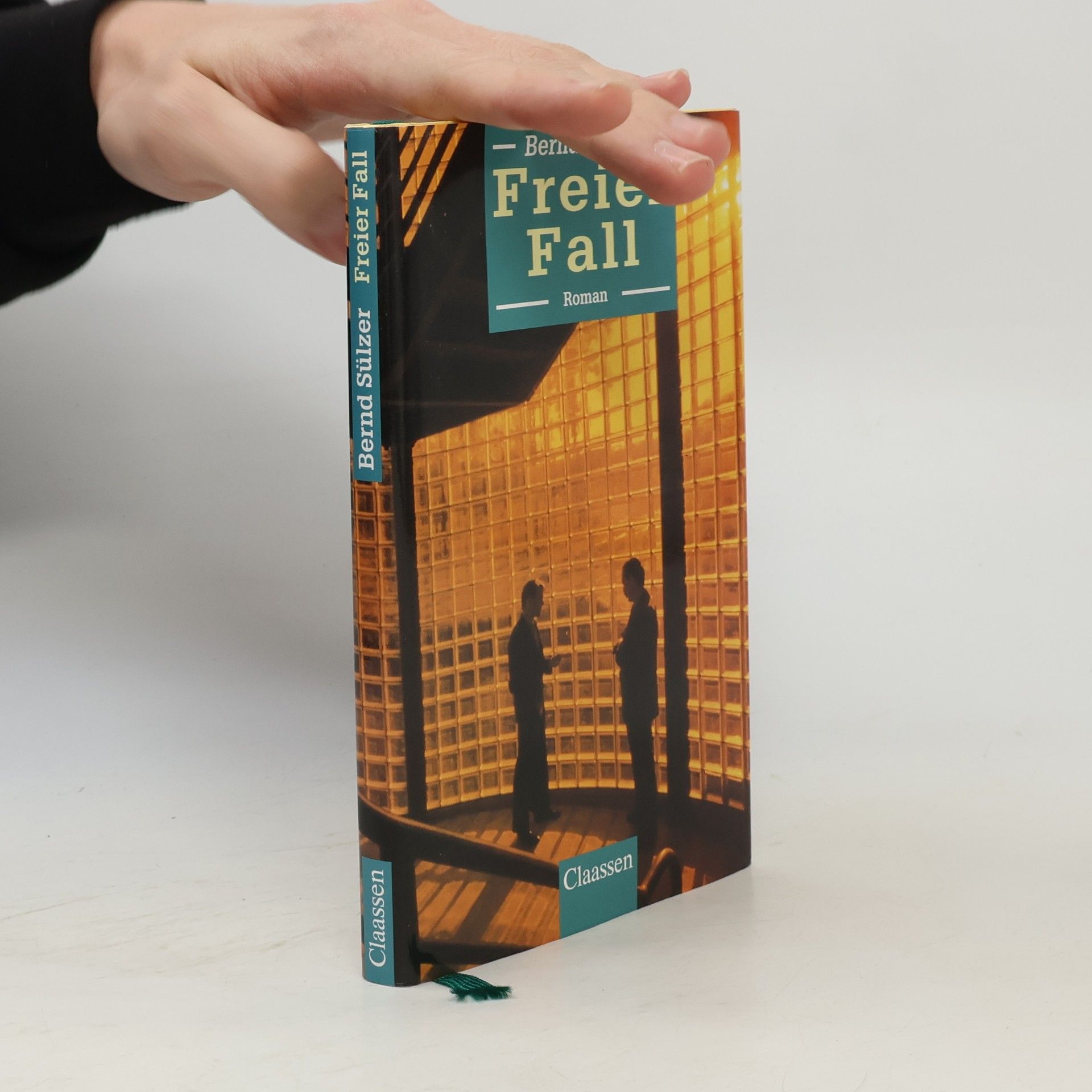 Bernd Sülzer Freier Fall. Roman