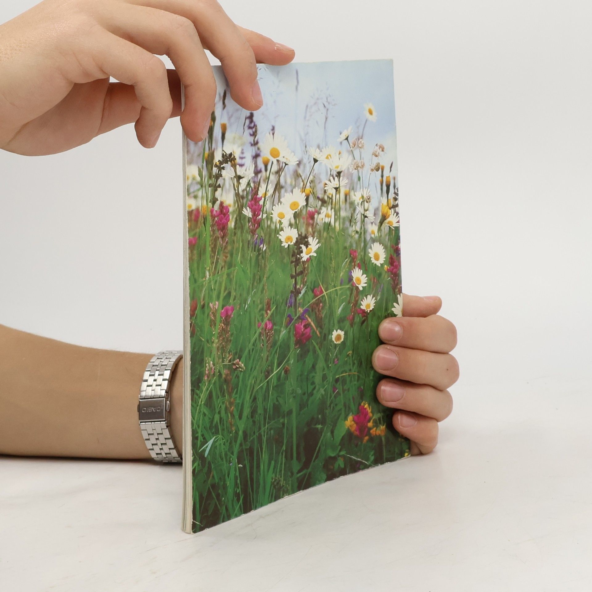 Marianne Golte-Bechtle Aus Liebe zur Natur