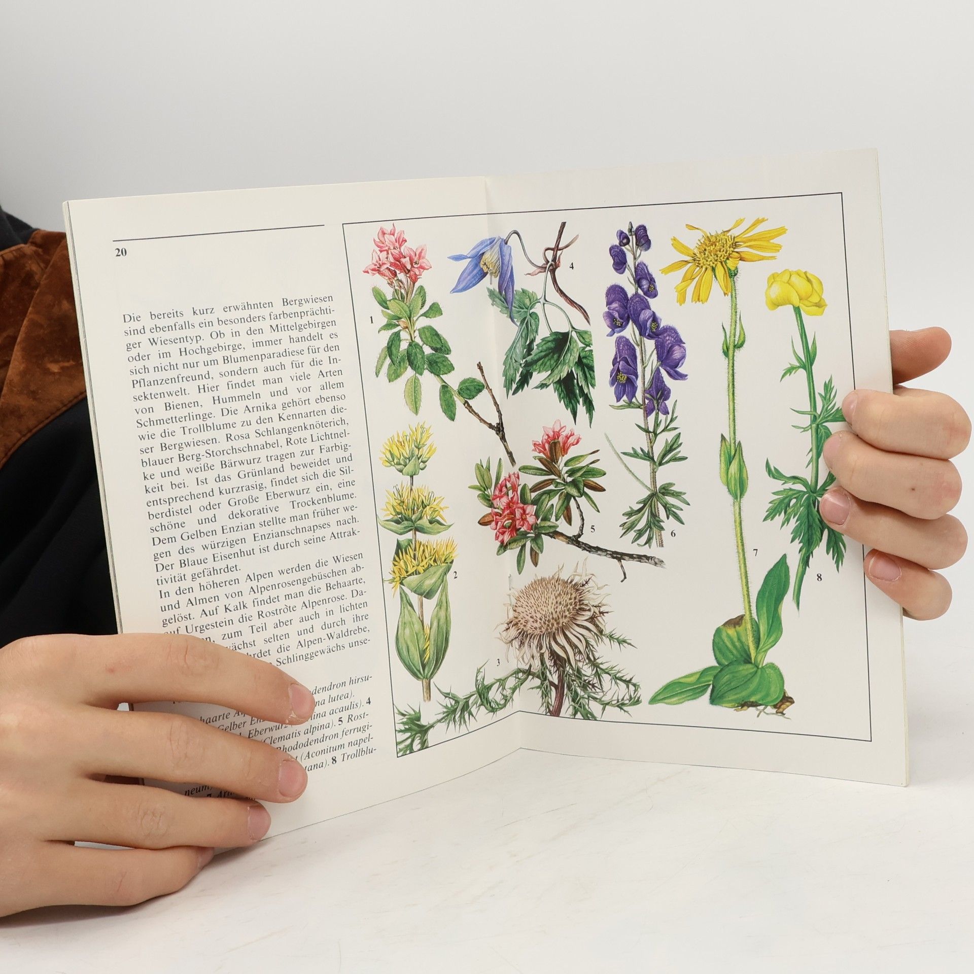 Marianne Golte-Bechtle Aus Liebe zur Natur