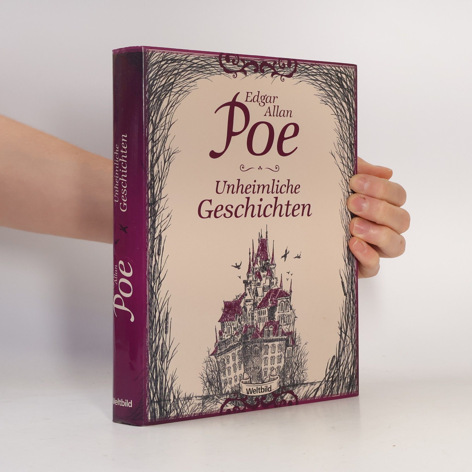 Edgar Allan Poe Unheimliche Geschichten