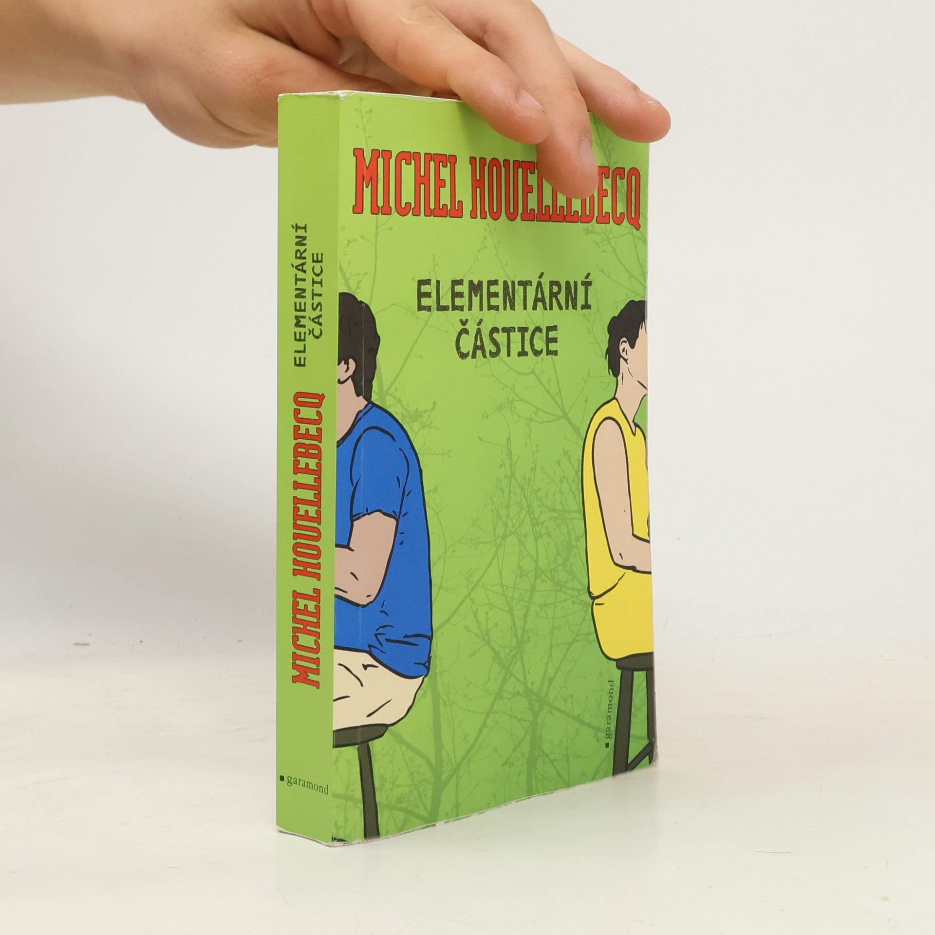 Michel Houellebecq Elementární částice
