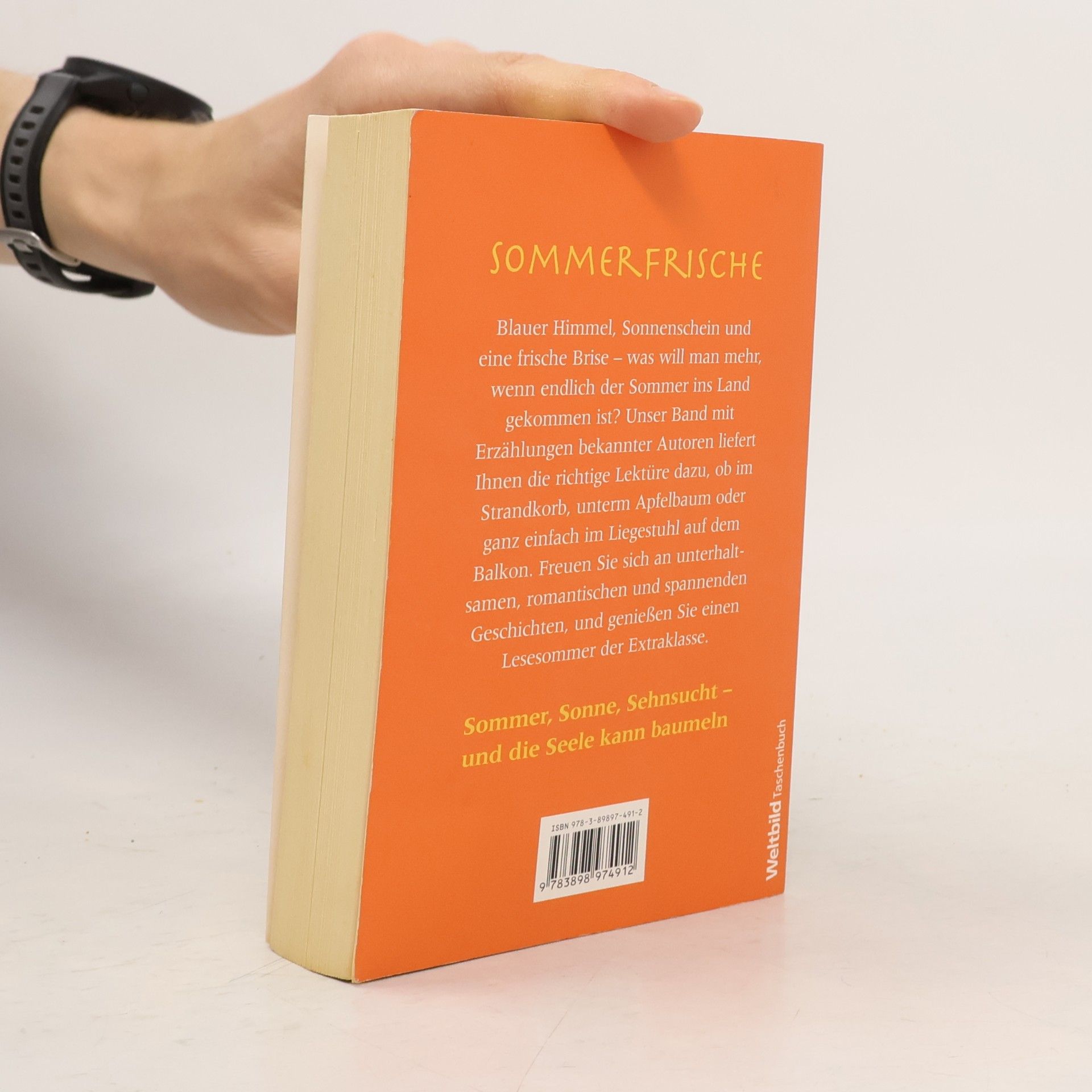 Umberto Eco Sommerfrische