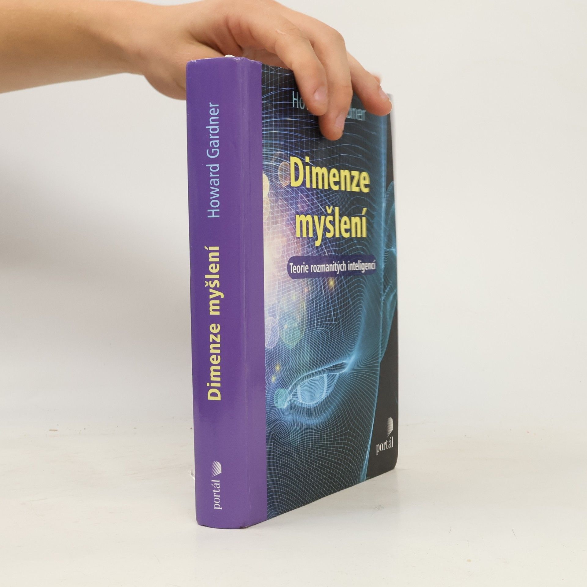 Howard Gardner Dimenze myšlení