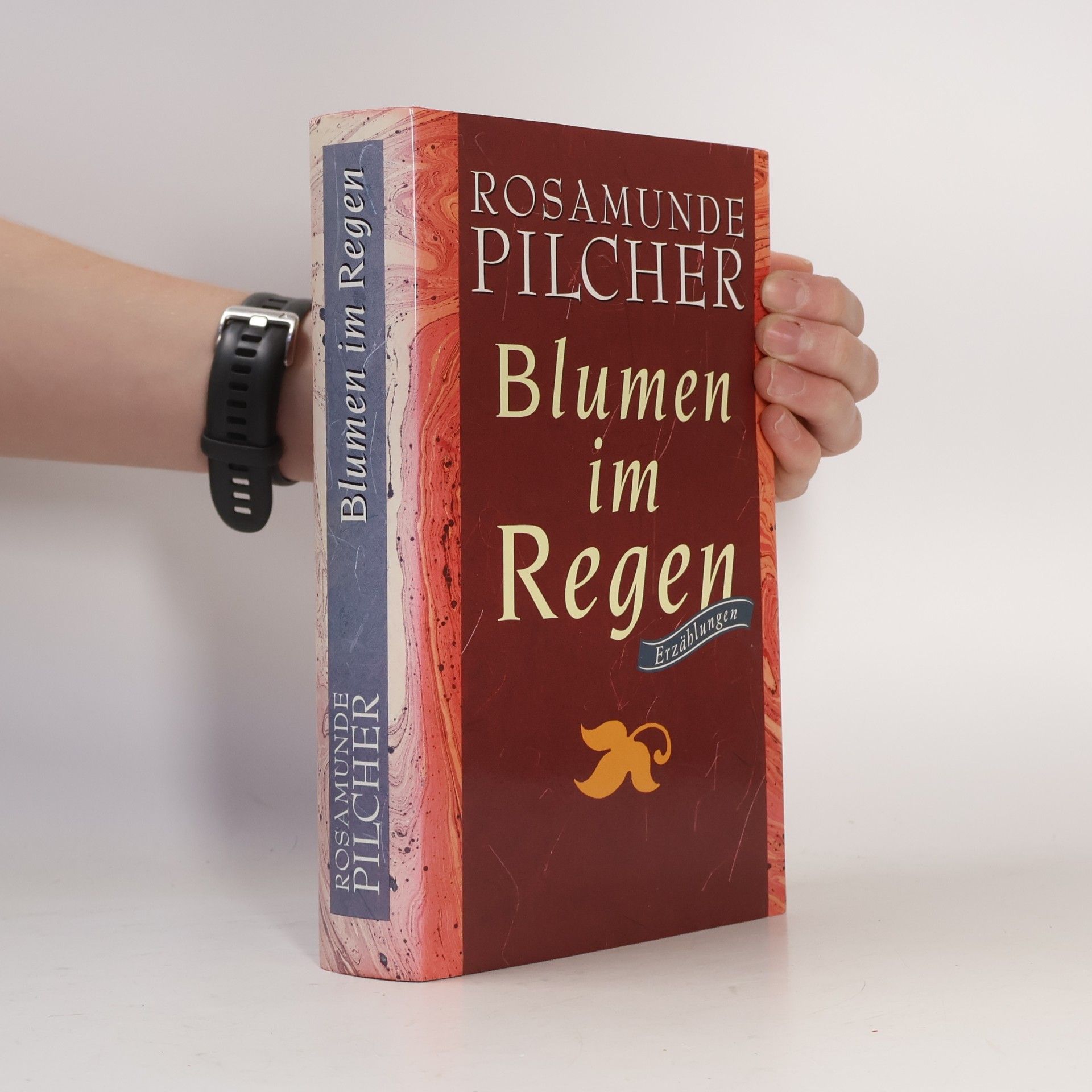 Rosamunde Pilcher Blumen im Regen