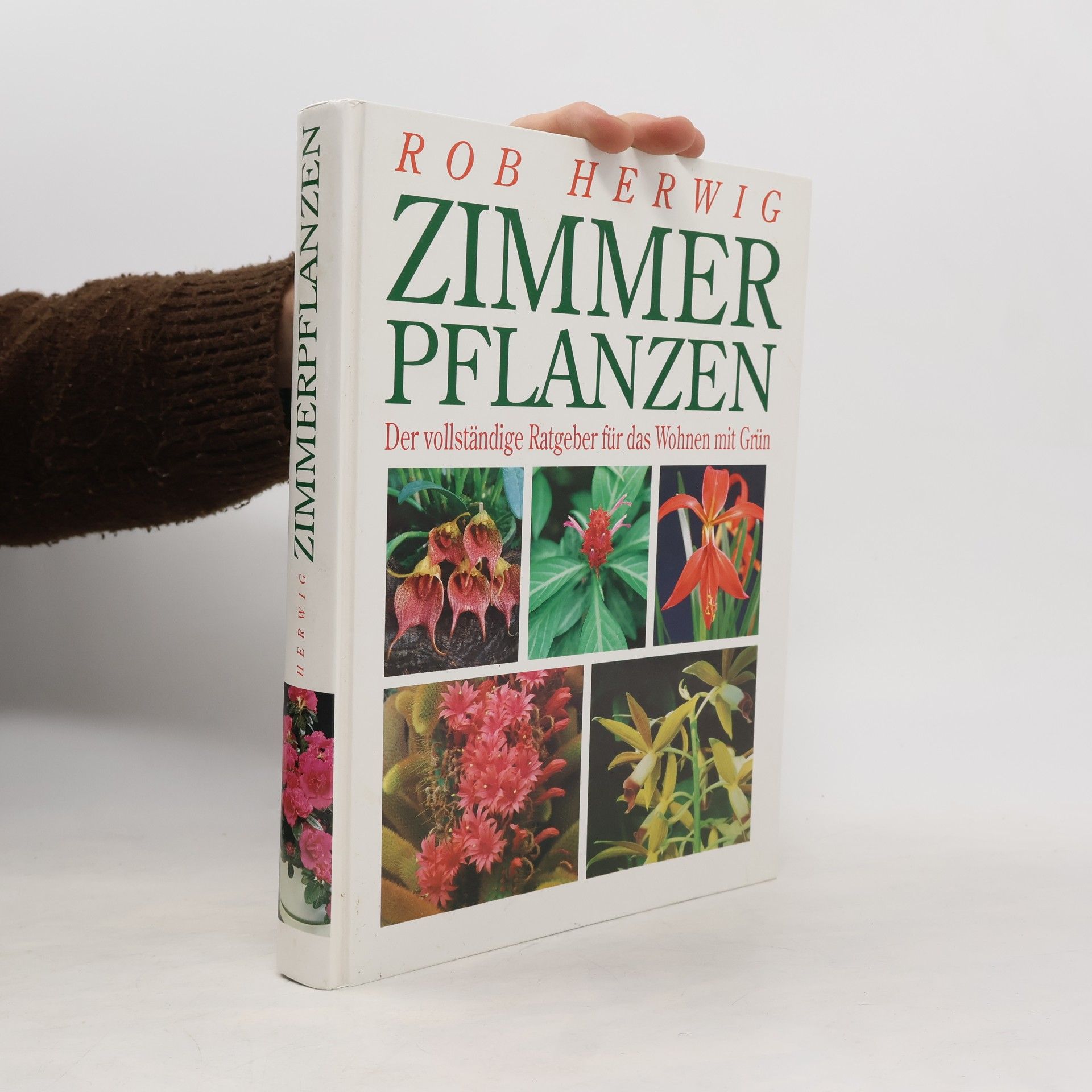 Rob Hewig Zimmerpflanzen