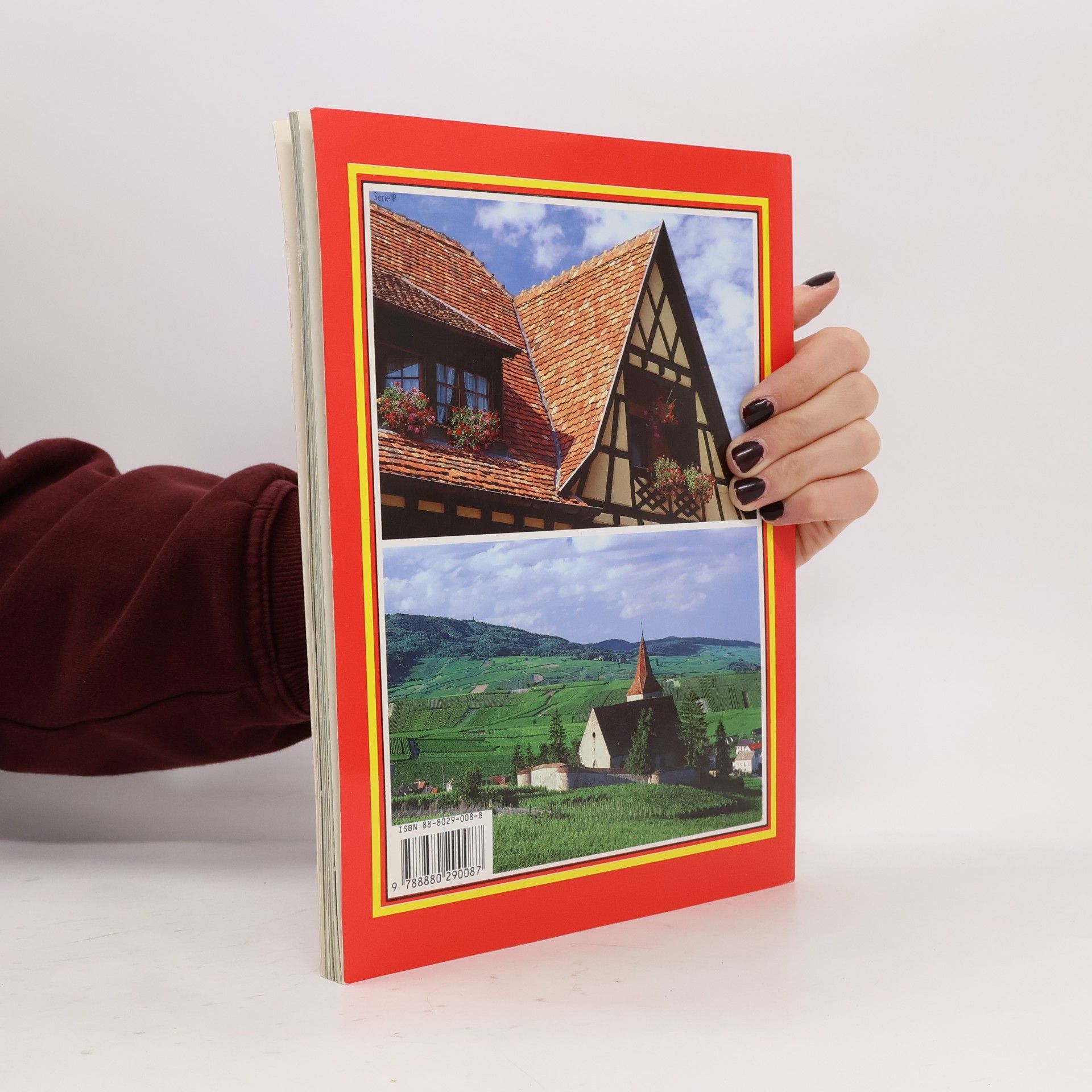 Miche le Caroline Heck Das Goldene Buch von: Colmar und seine Weinstrasse