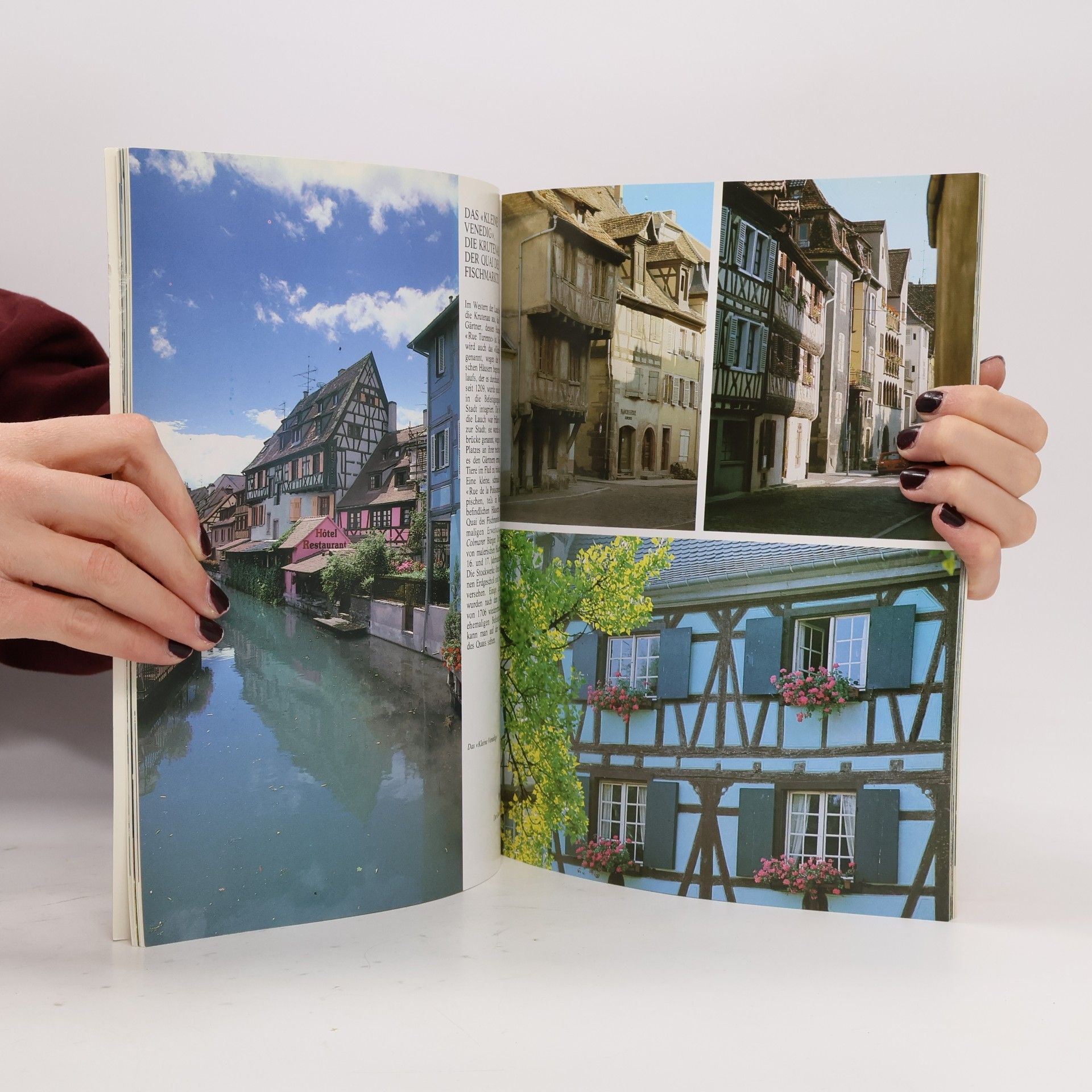 Miche le Caroline Heck Das Goldene Buch von: Colmar und seine Weinstrasse