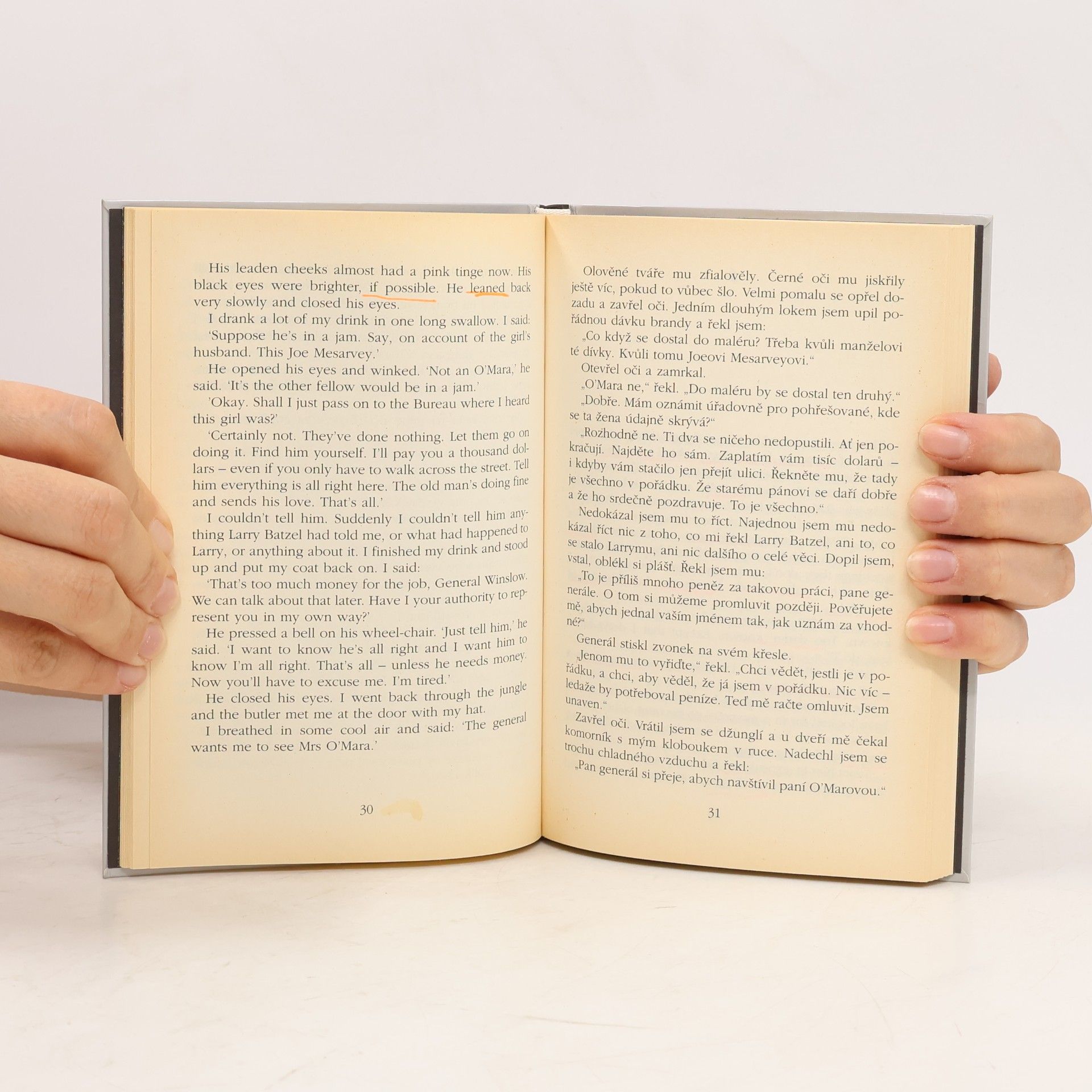 Raymond Chandler Opona / The Curtain