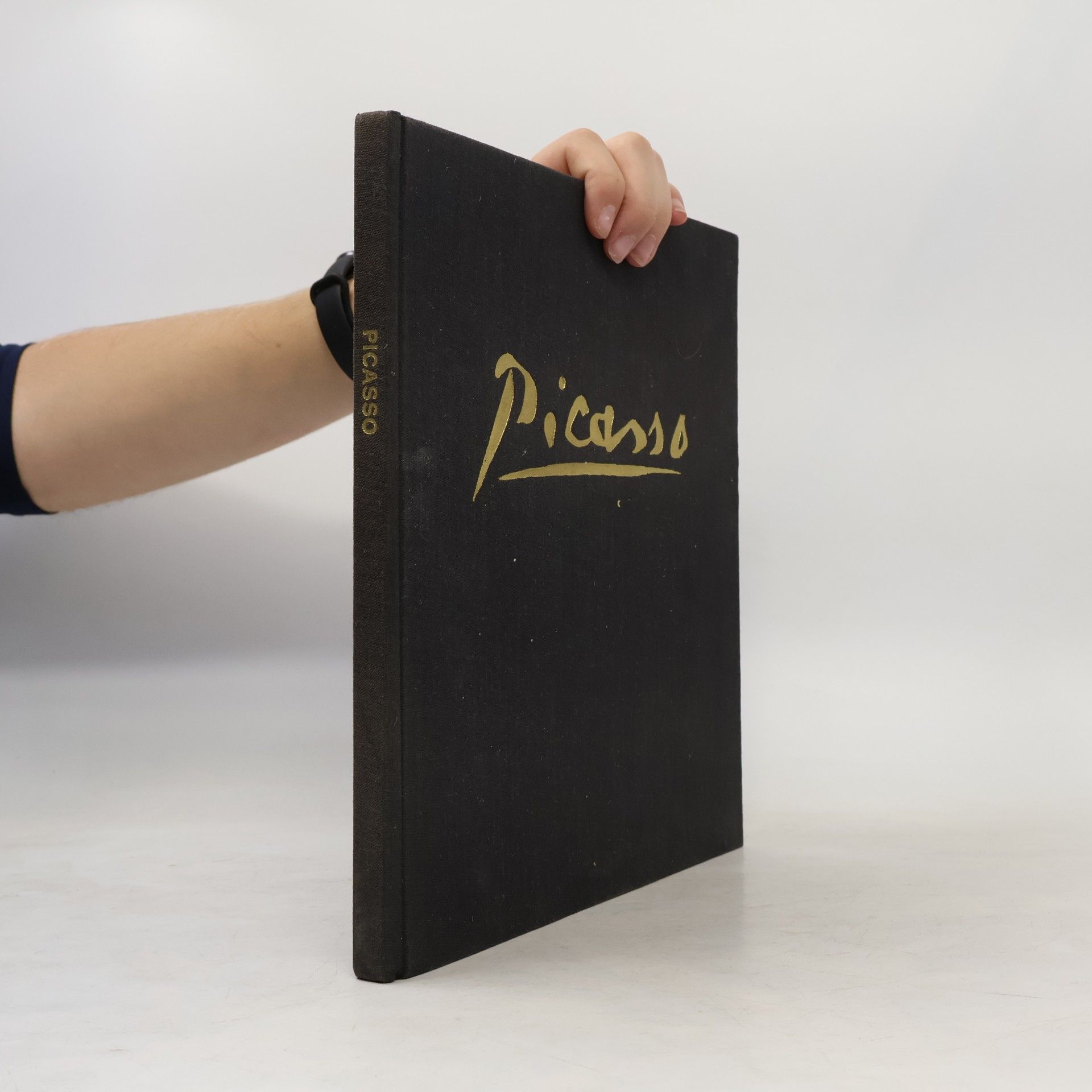 Various authors Picasso