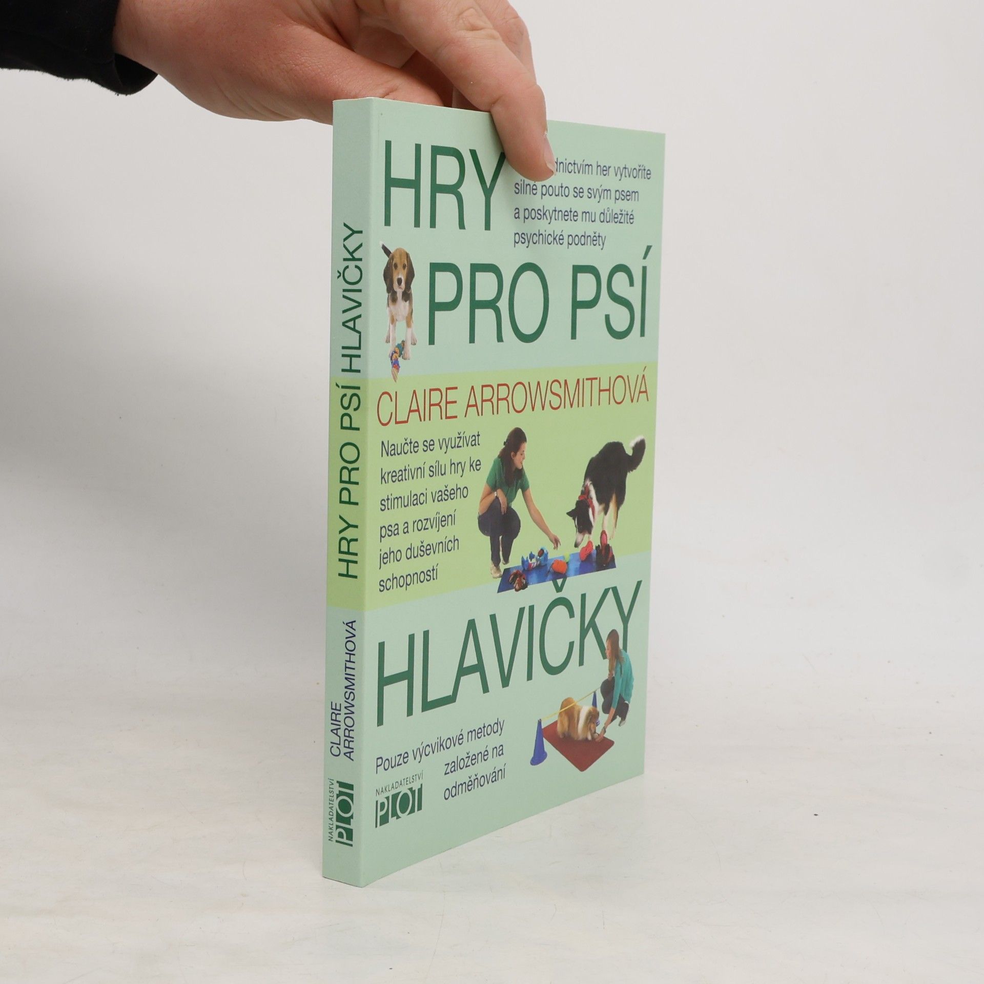 Claire Arrowsmith Hry pro psí hlavičky