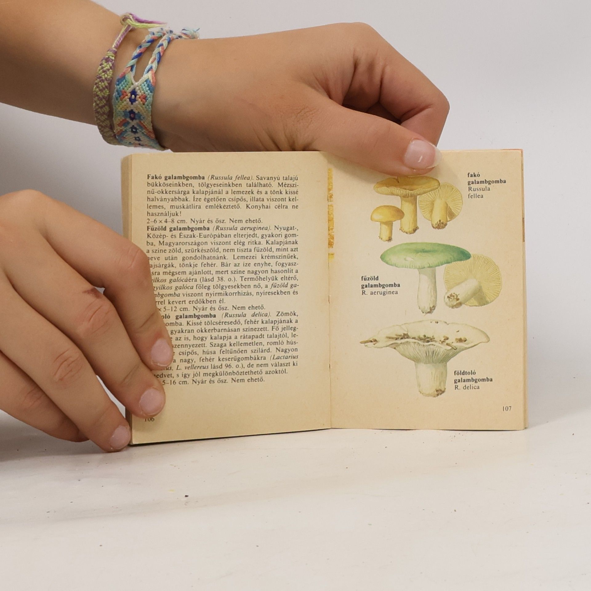 Various authors Gombák