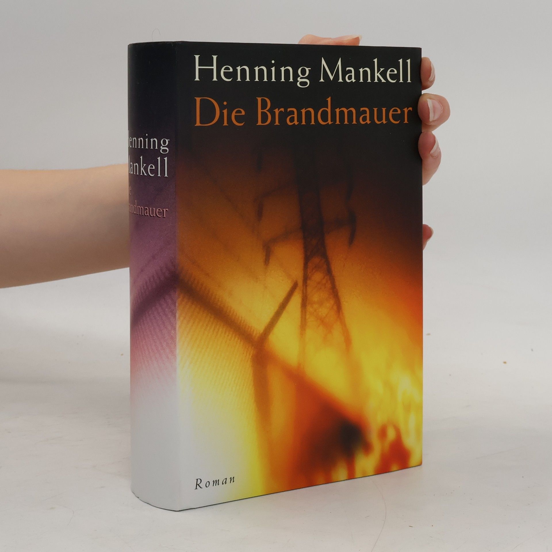 Henning Mankell Die Brandmauer