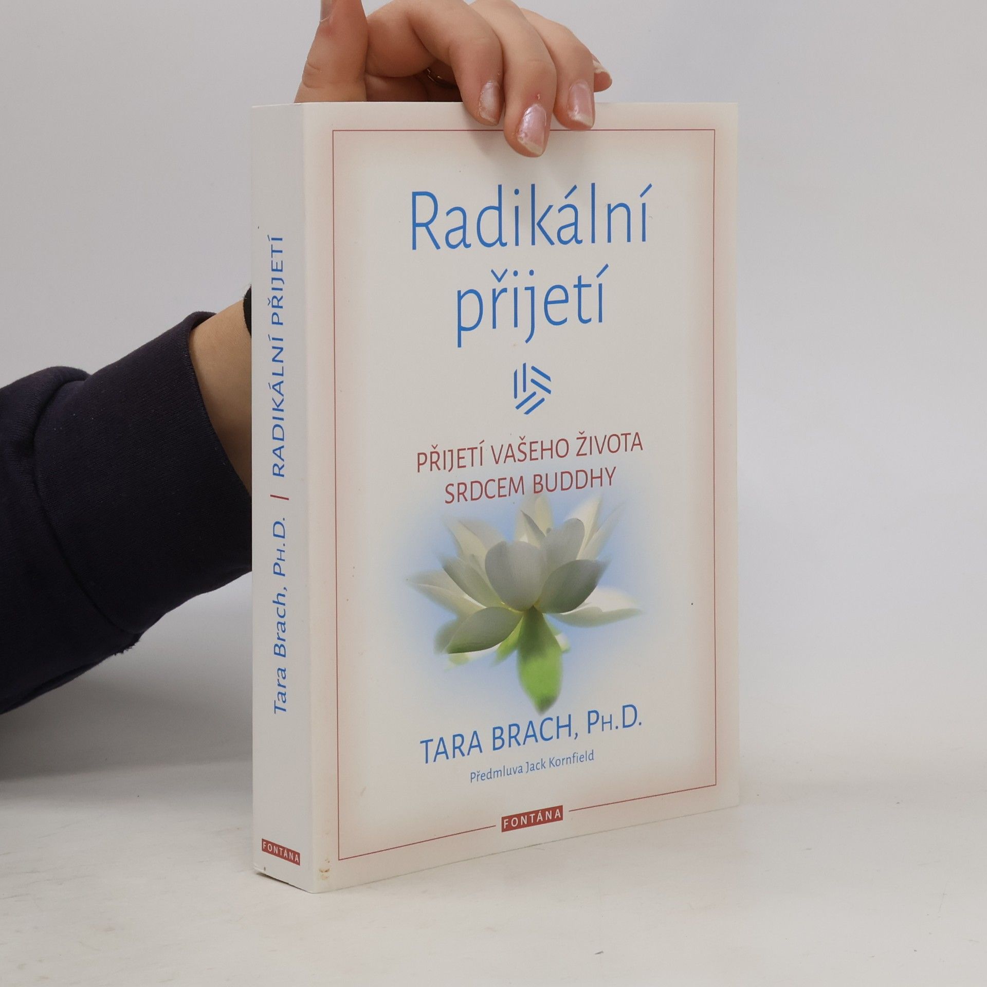 Tara Brach Radikální přijetí: Přijetí vašeho života srdcem Buddhy