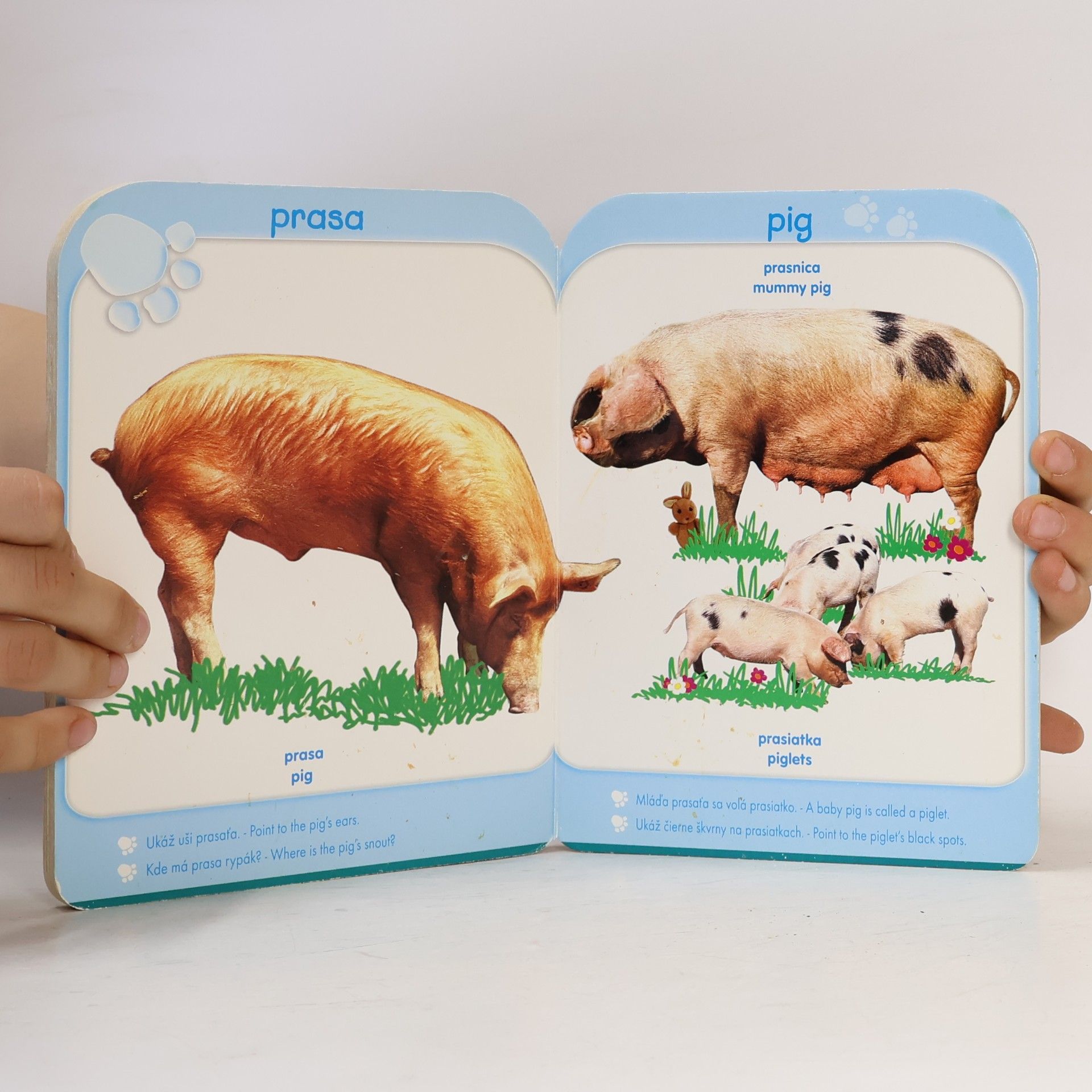 Autores varios Zvieratá - Animals